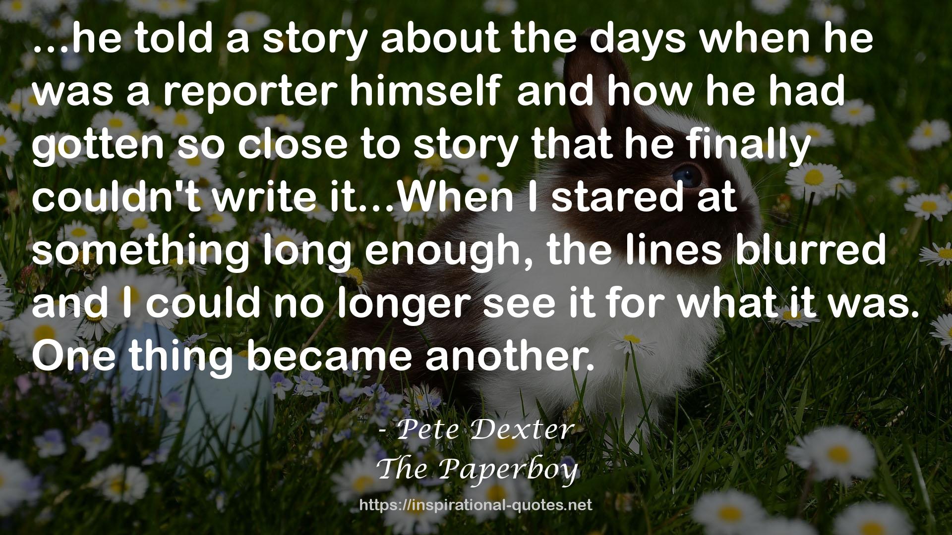 The Paperboy QUOTES