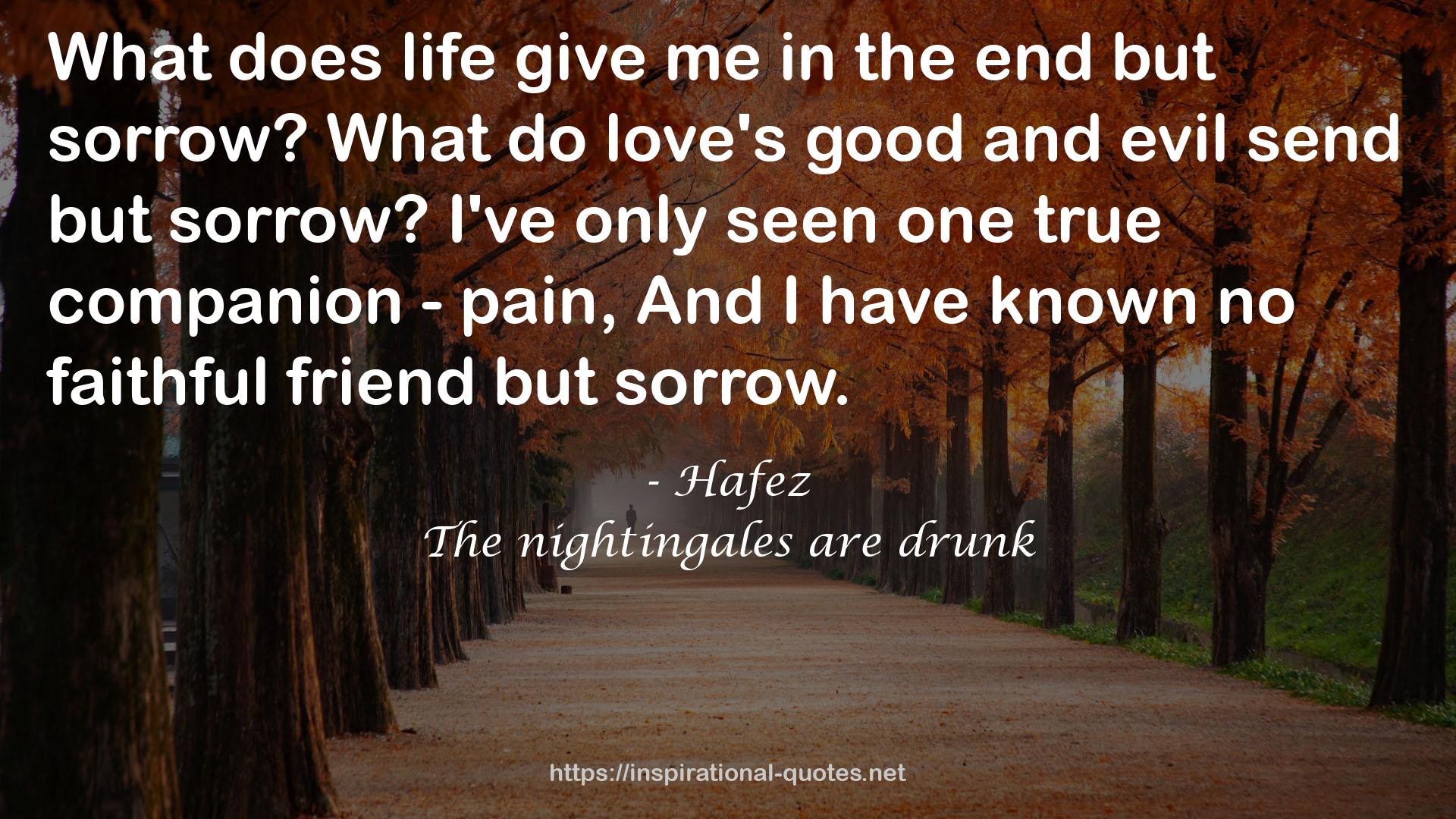 The nightingales are drunk QUOTES