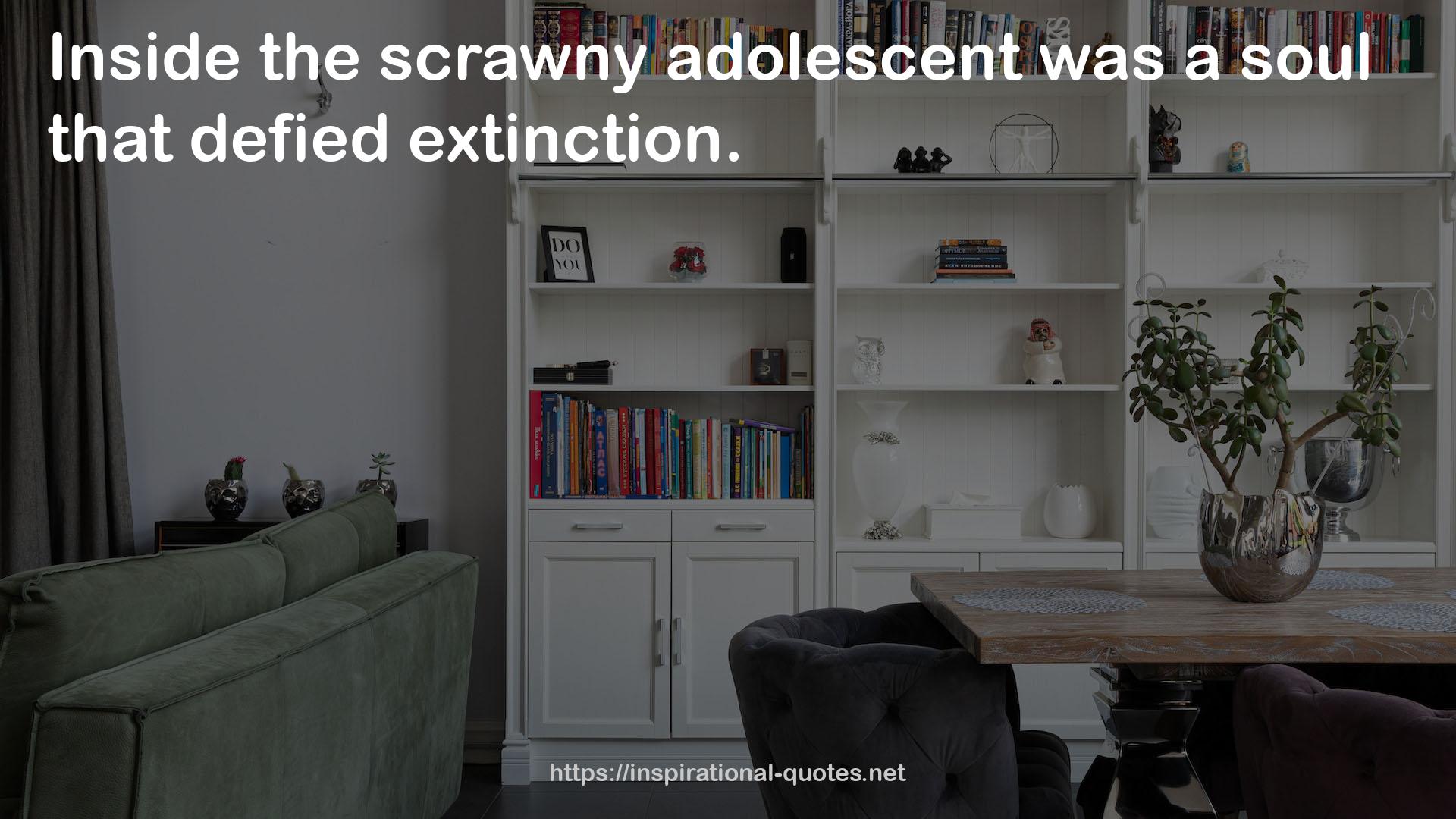 the scrawny adolescent  QUOTES
