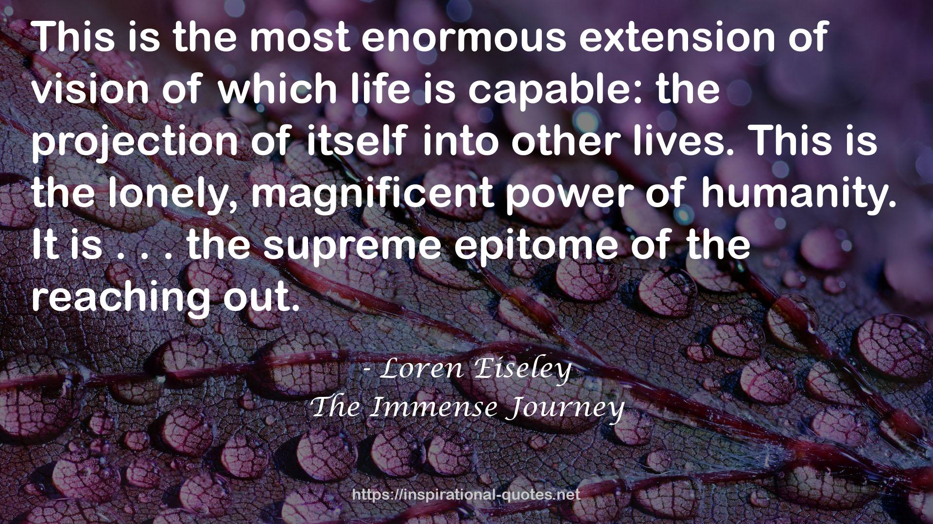 the lonely, magnificent power  QUOTES