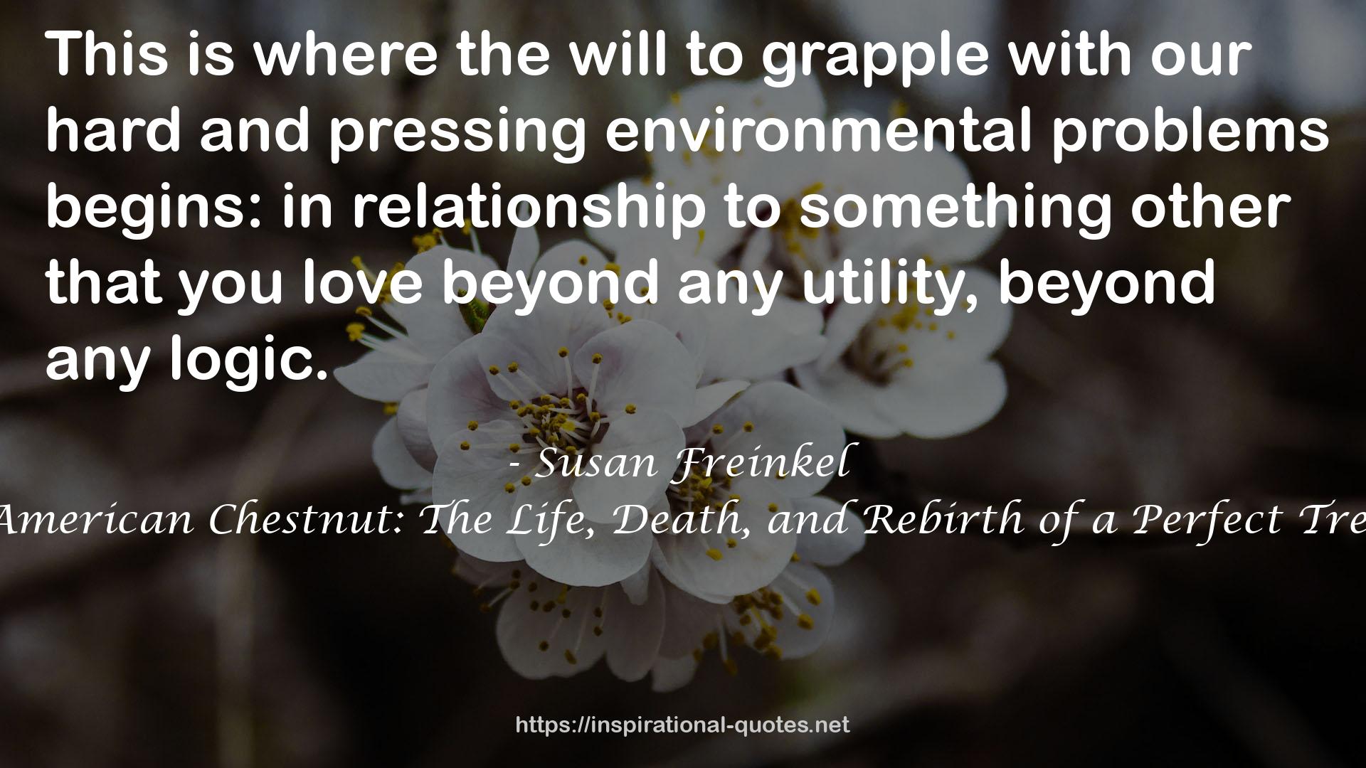 Susan Freinkel QUOTES