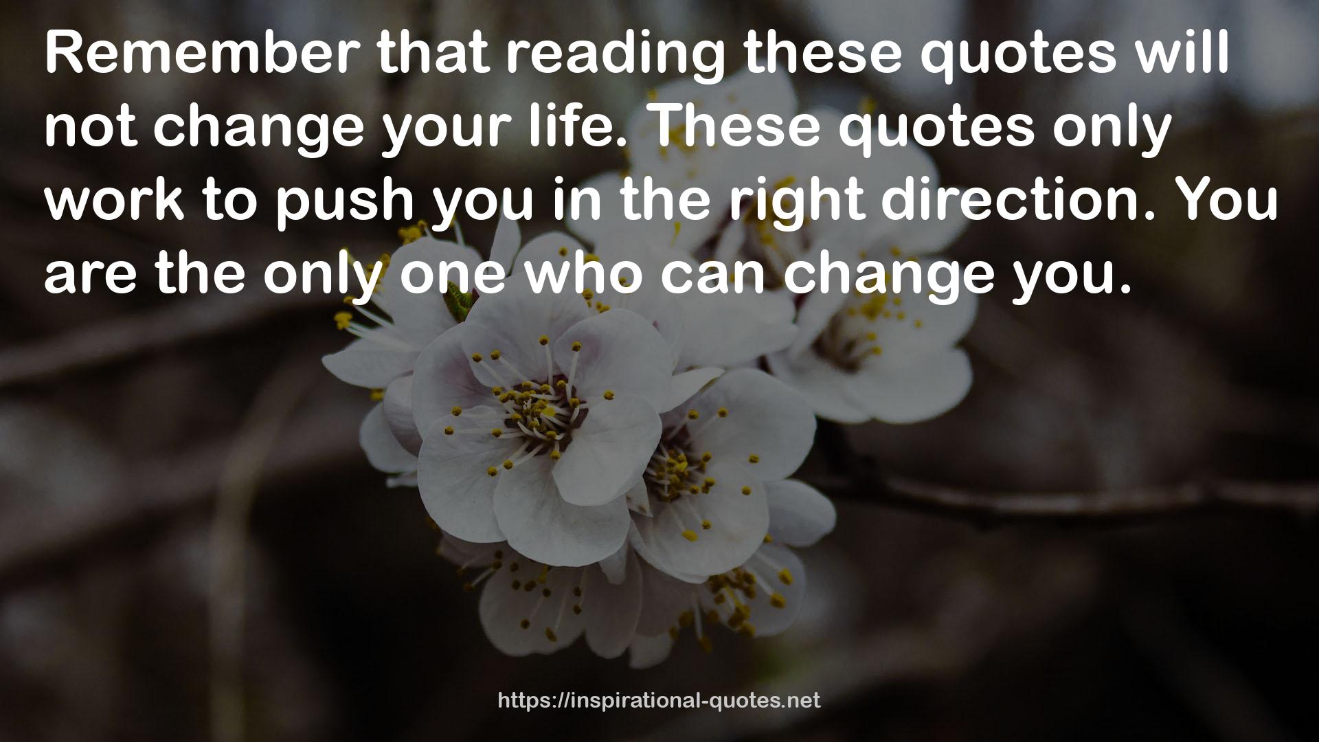 these quotes  QUOTES