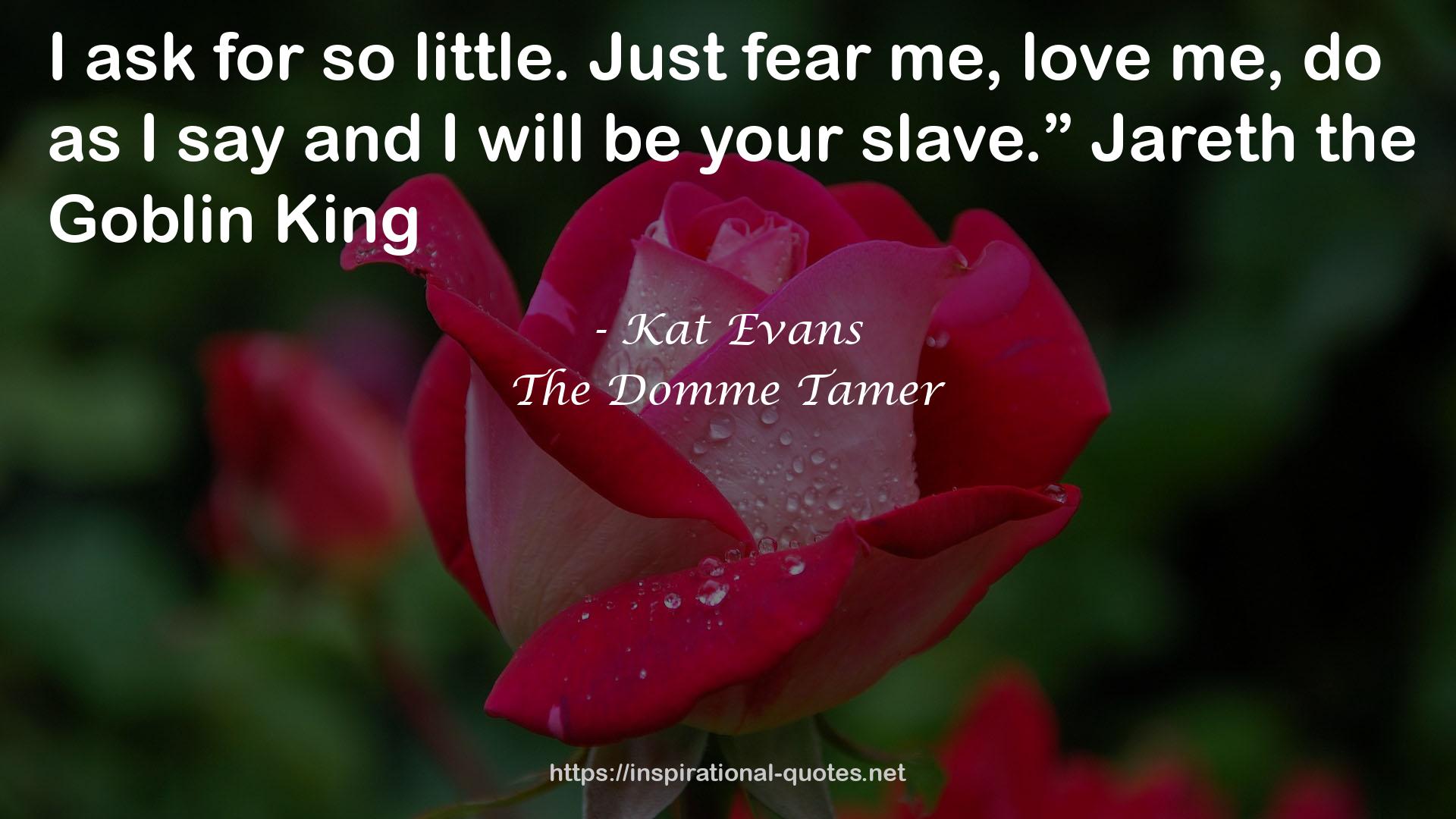 The Domme Tamer QUOTES