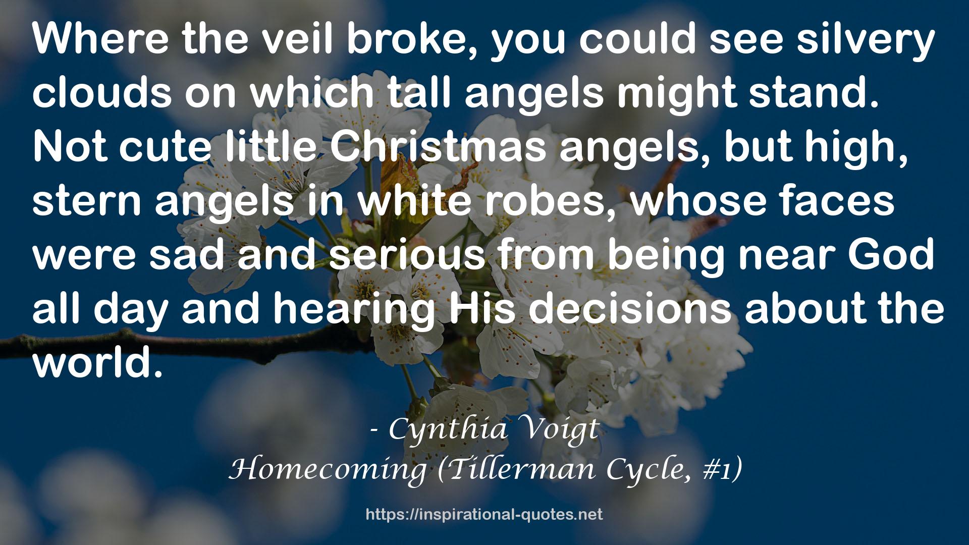 Homecoming (Tillerman Cycle, #1) QUOTES
