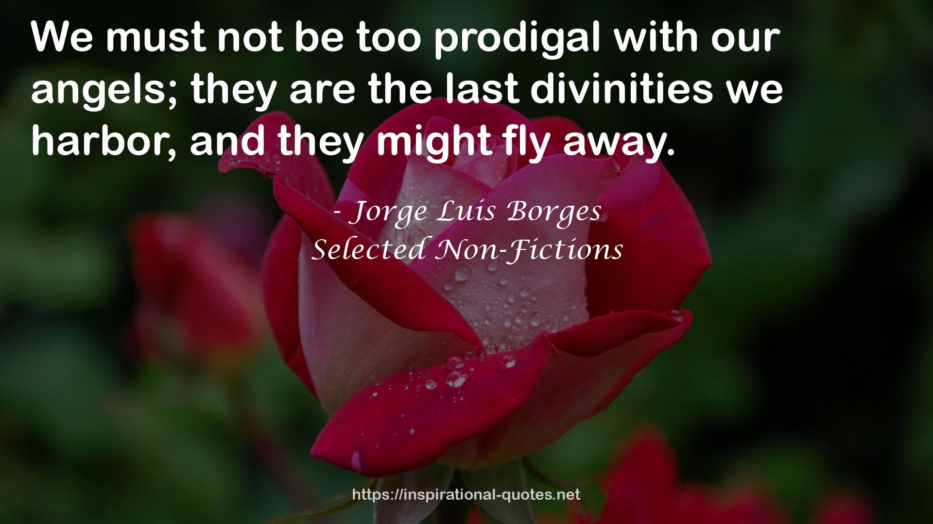 the last divinities  QUOTES