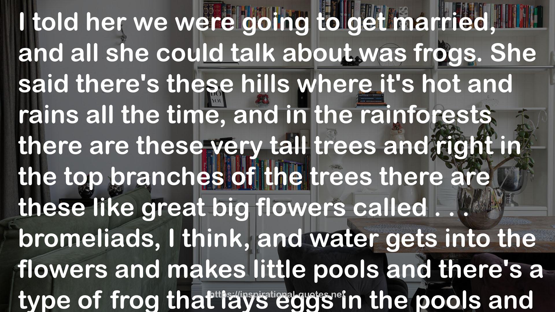 the rainforests  QUOTES