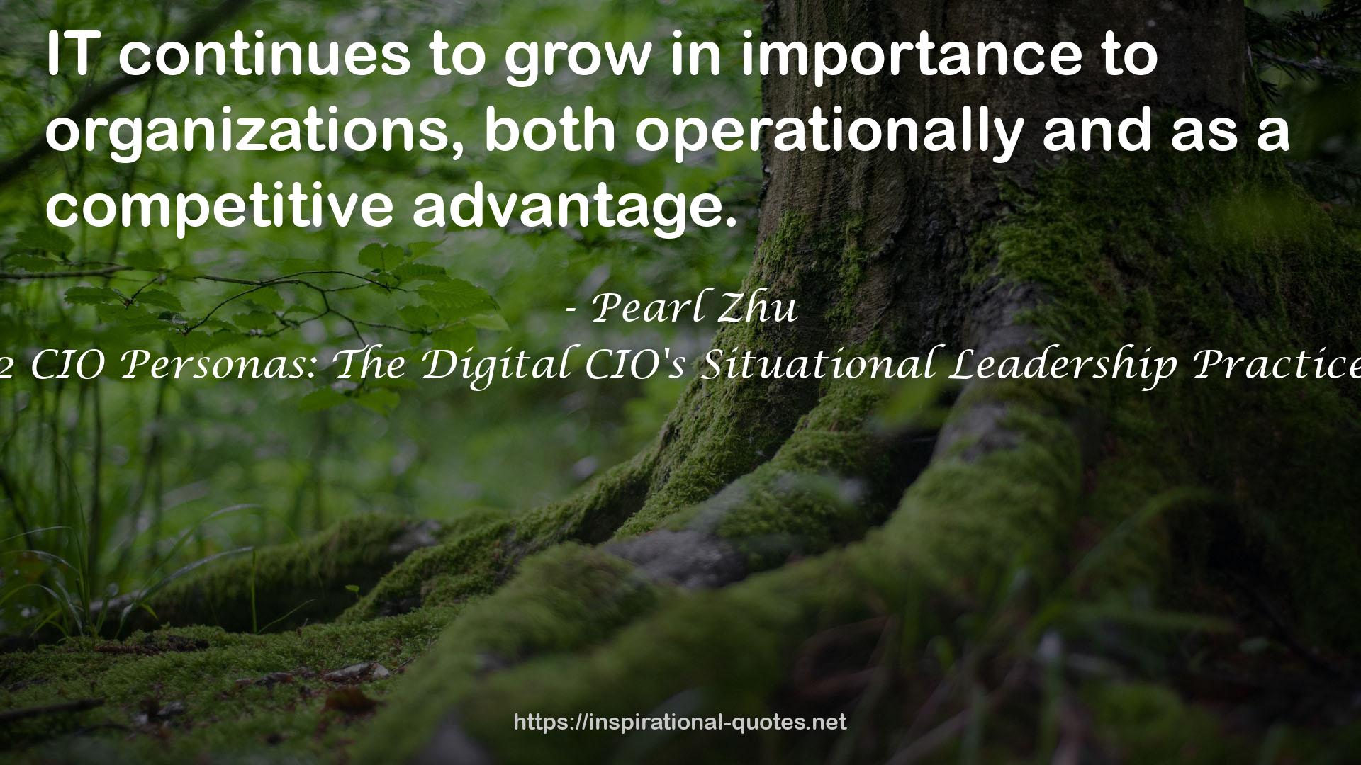 12 CIO Personas: The Digital CIO's Situational Leadership Practices QUOTES