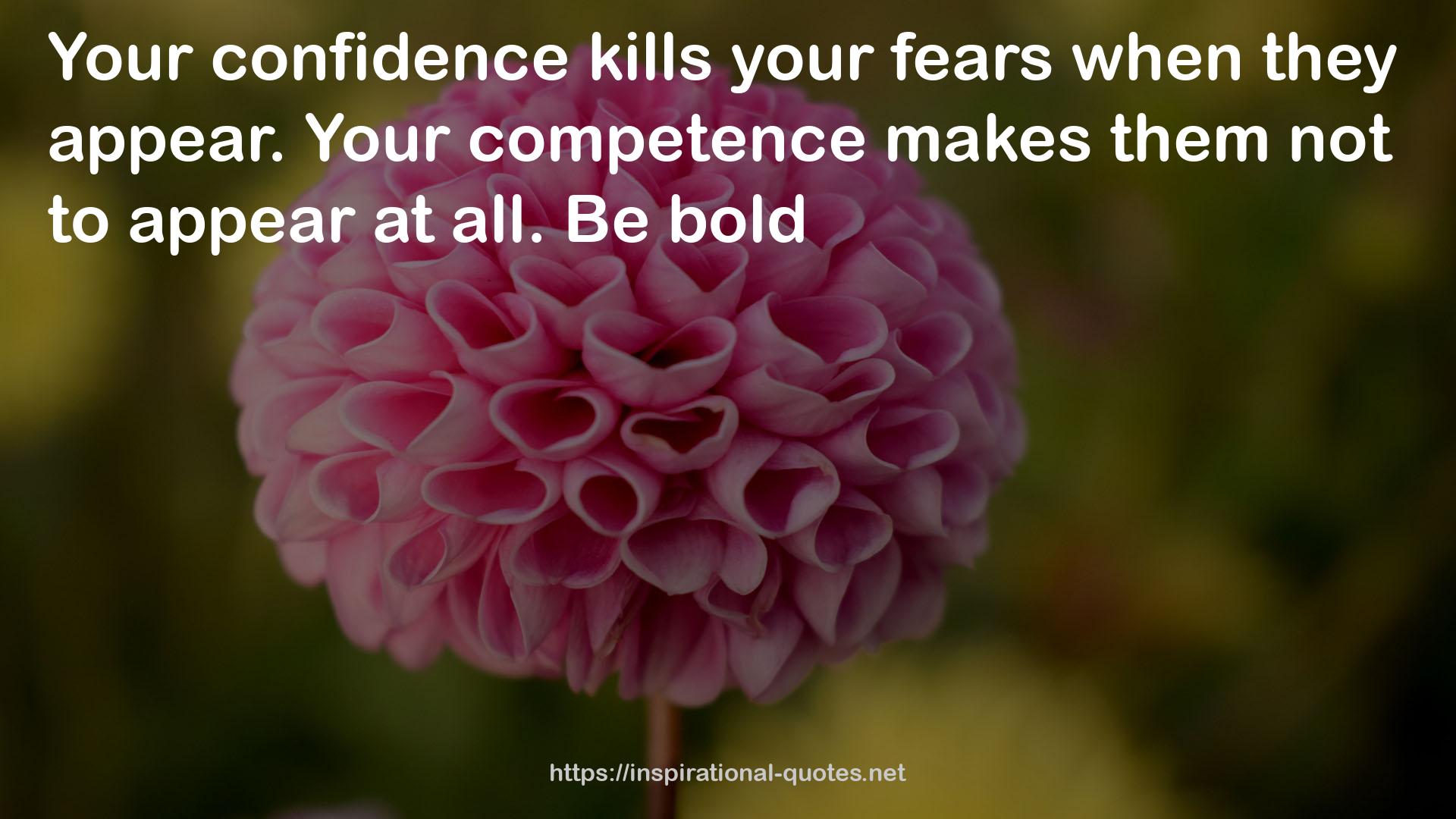 Your competence  QUOTES