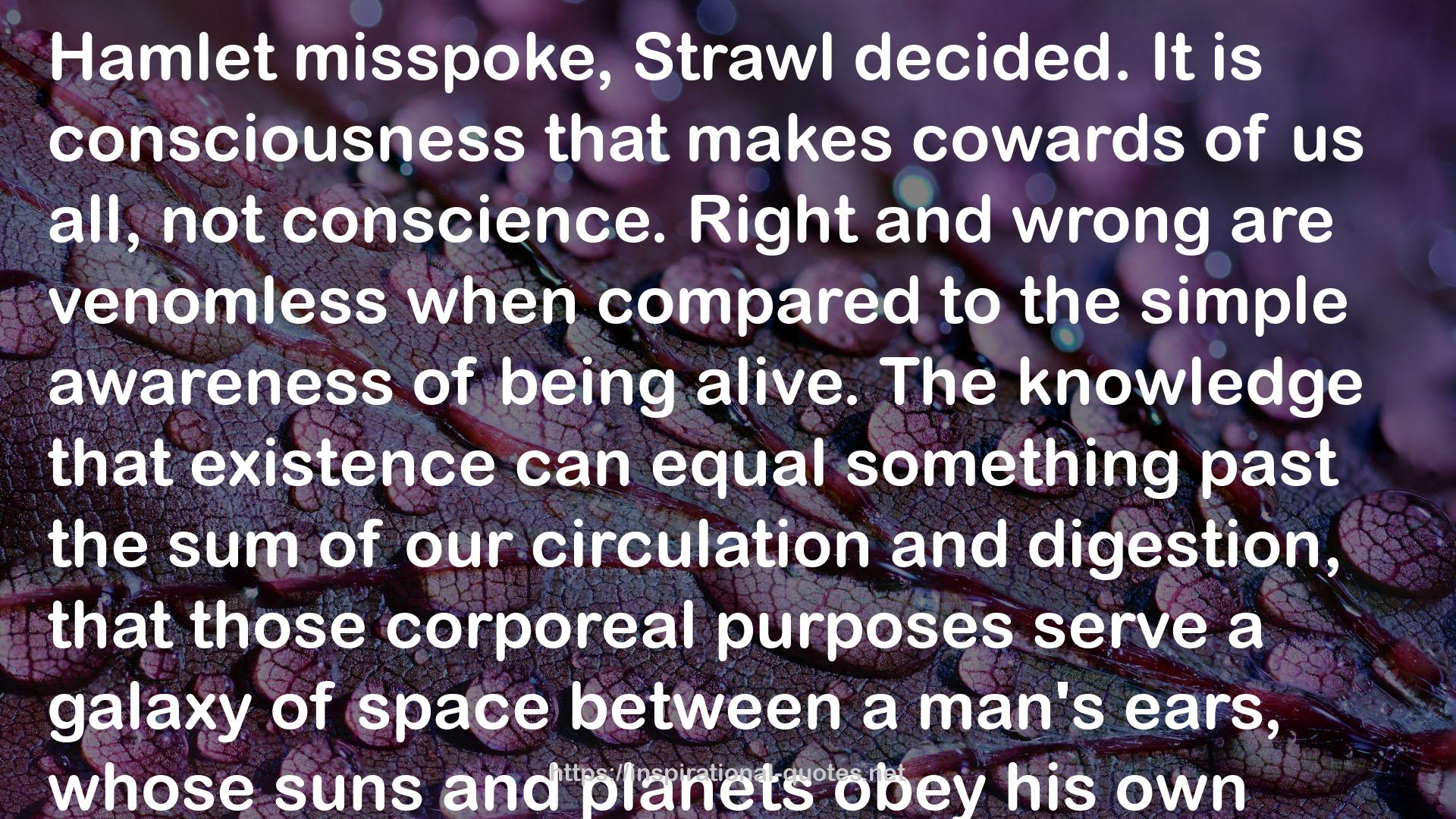 Strawl  QUOTES