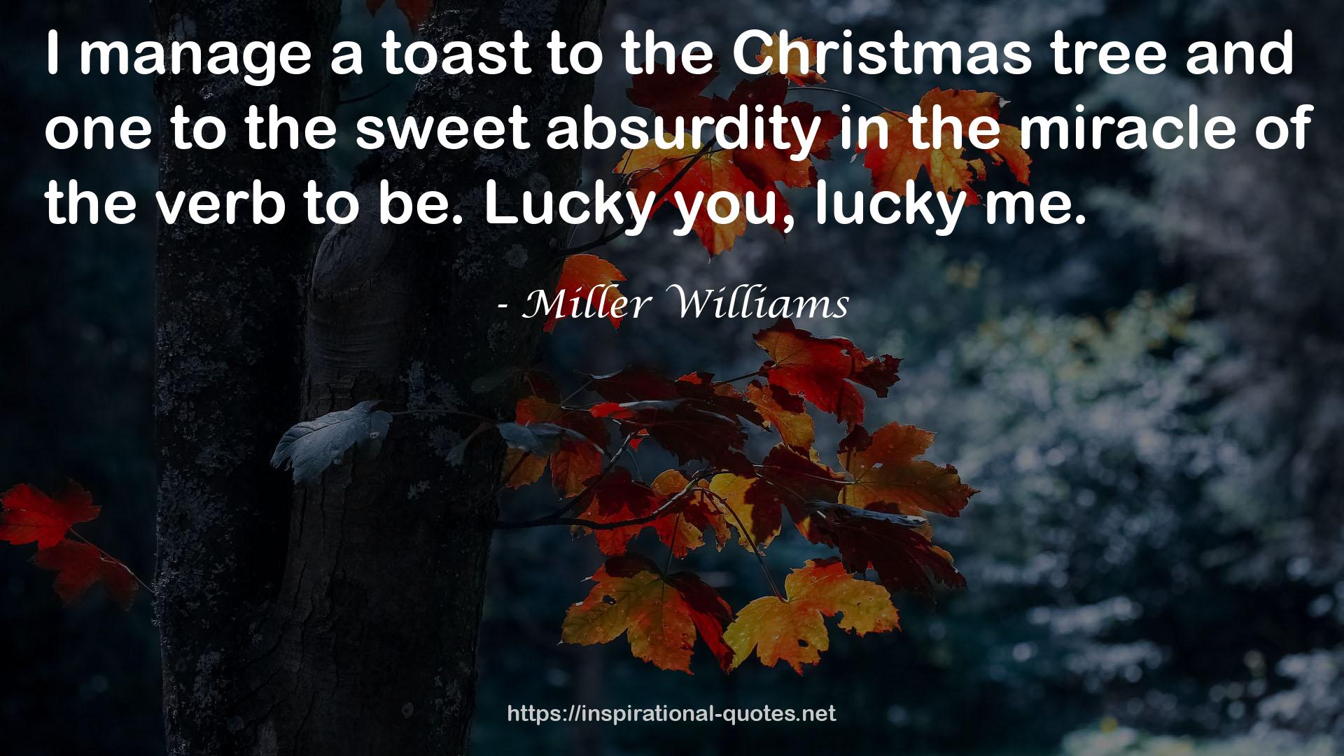 Miller Williams QUOTES