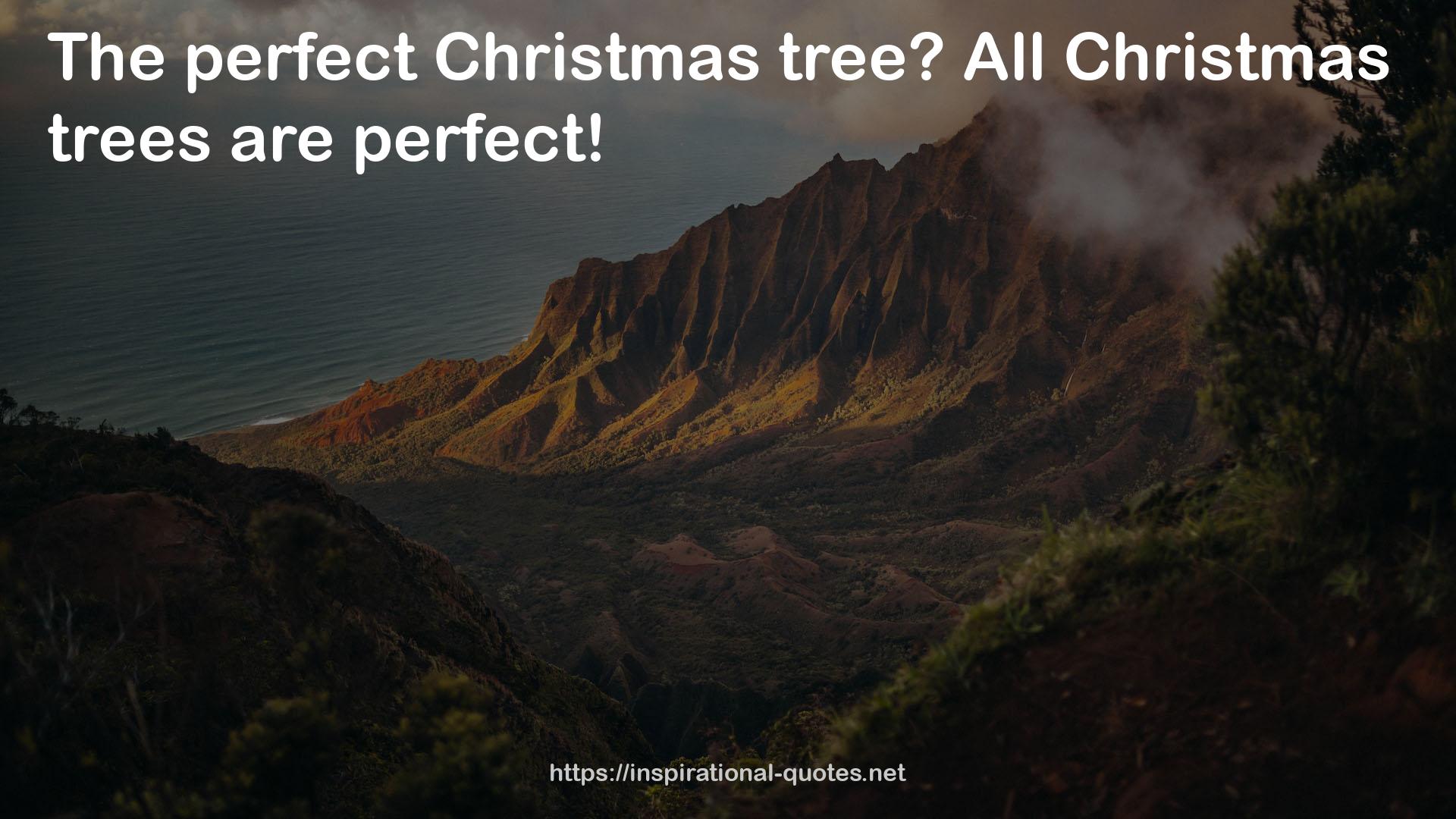 All Christmas trees  QUOTES