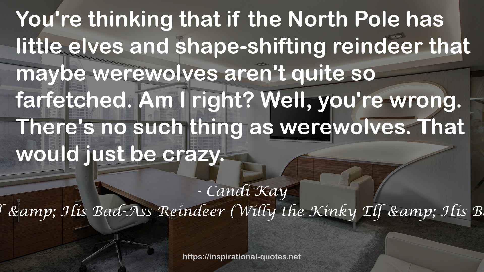 Willy the Kinky Elf & His Bad-Ass Reindeer (Willy the Kinky Elf & His Bad-Ass Reindeer #1) QUOTES