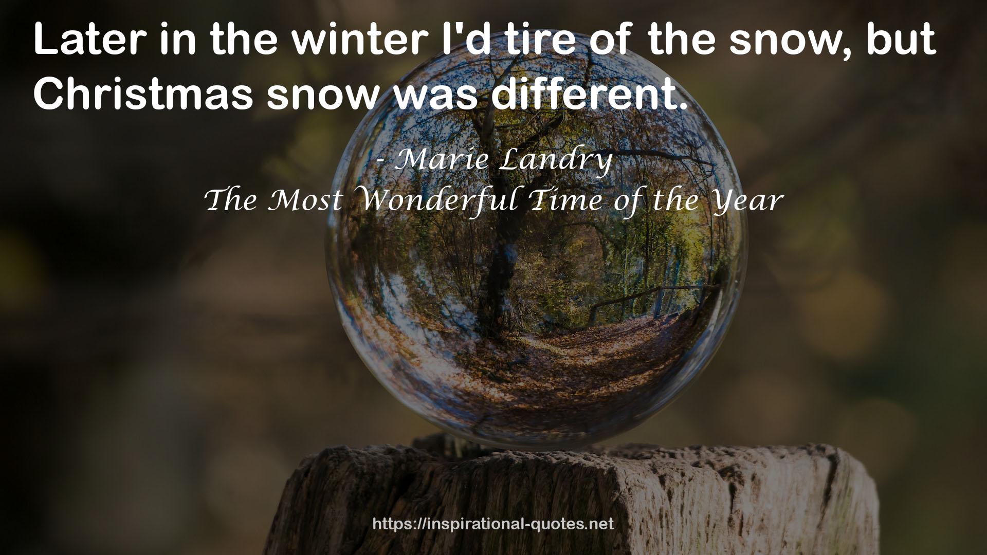 The Most Wonderful Time of the Year QUOTES