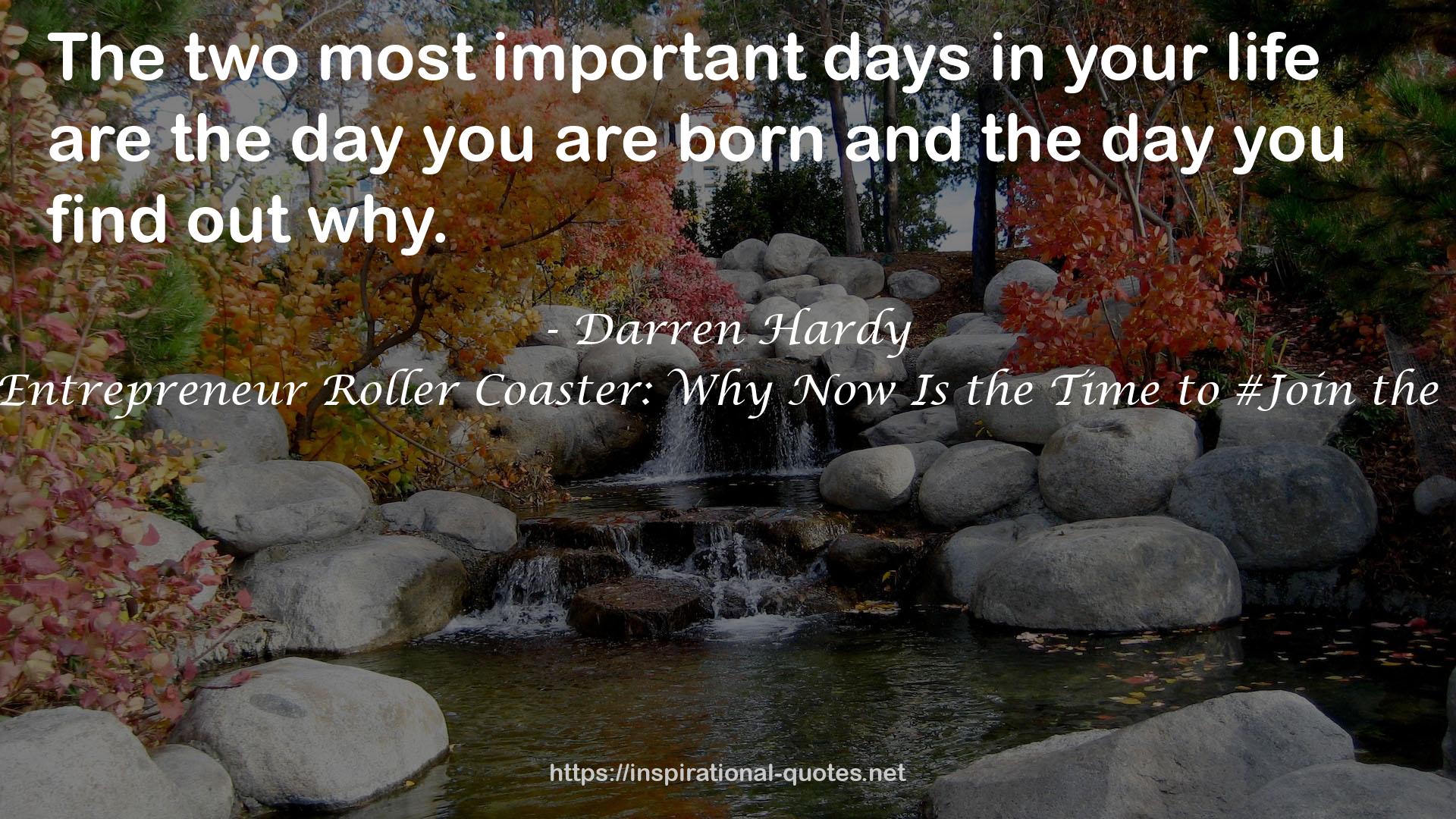 Darren Hardy QUOTES