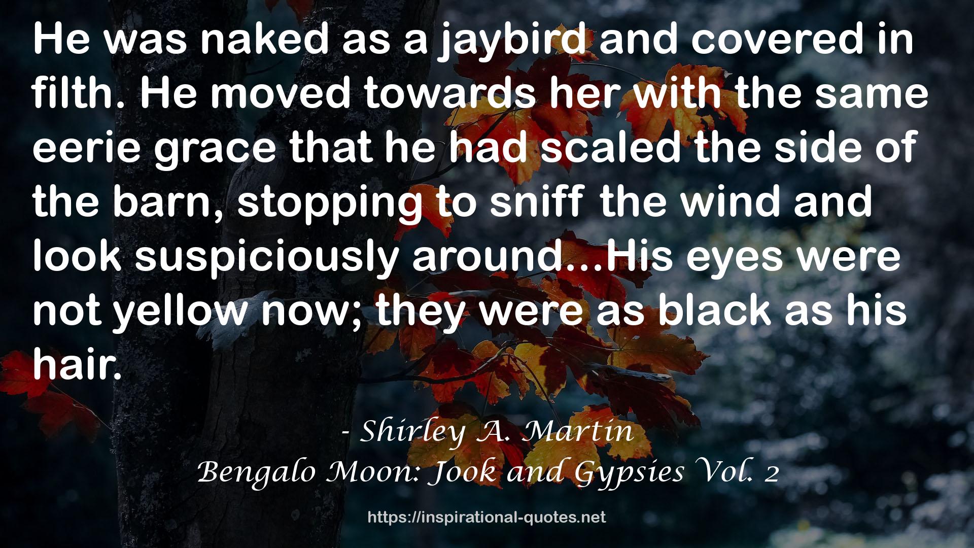 Bengalo Moon: Jook and Gypsies Vol. 2 QUOTES