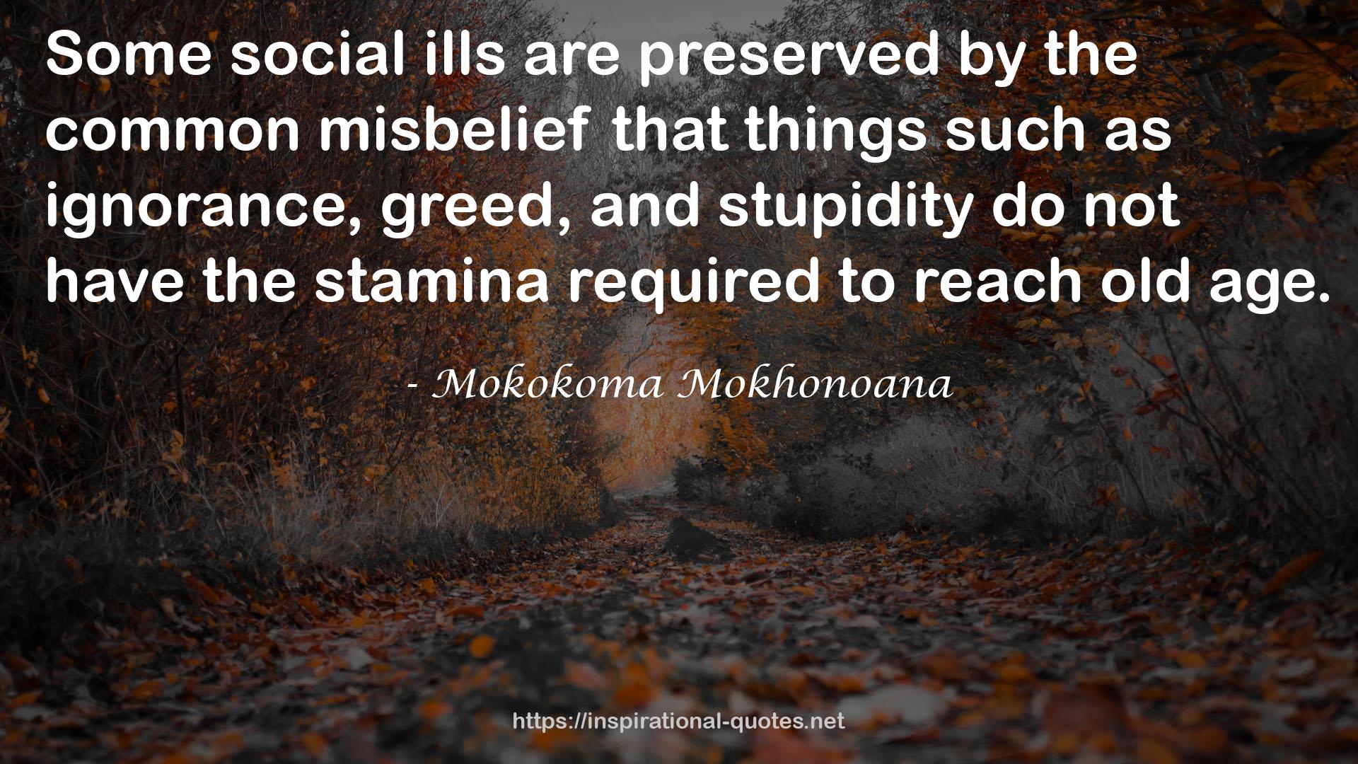 misbelief  QUOTES