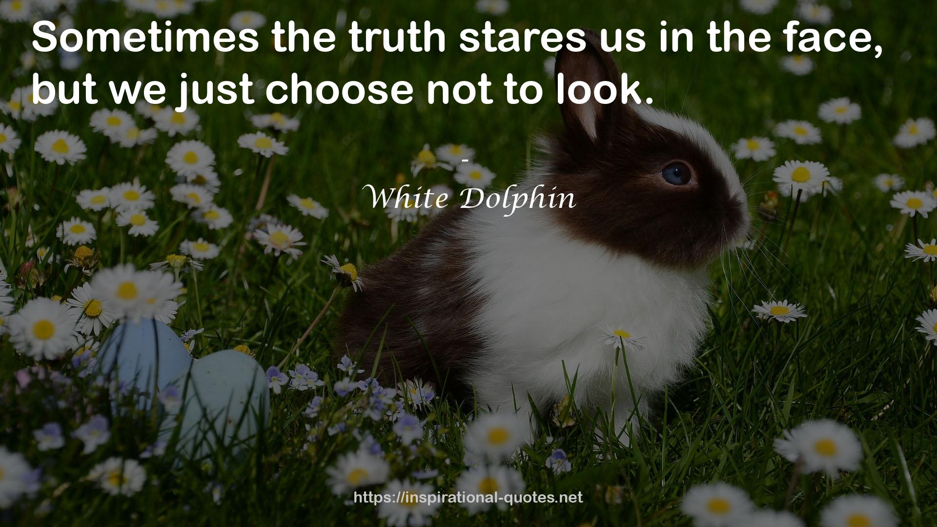 White Dolphin QUOTES