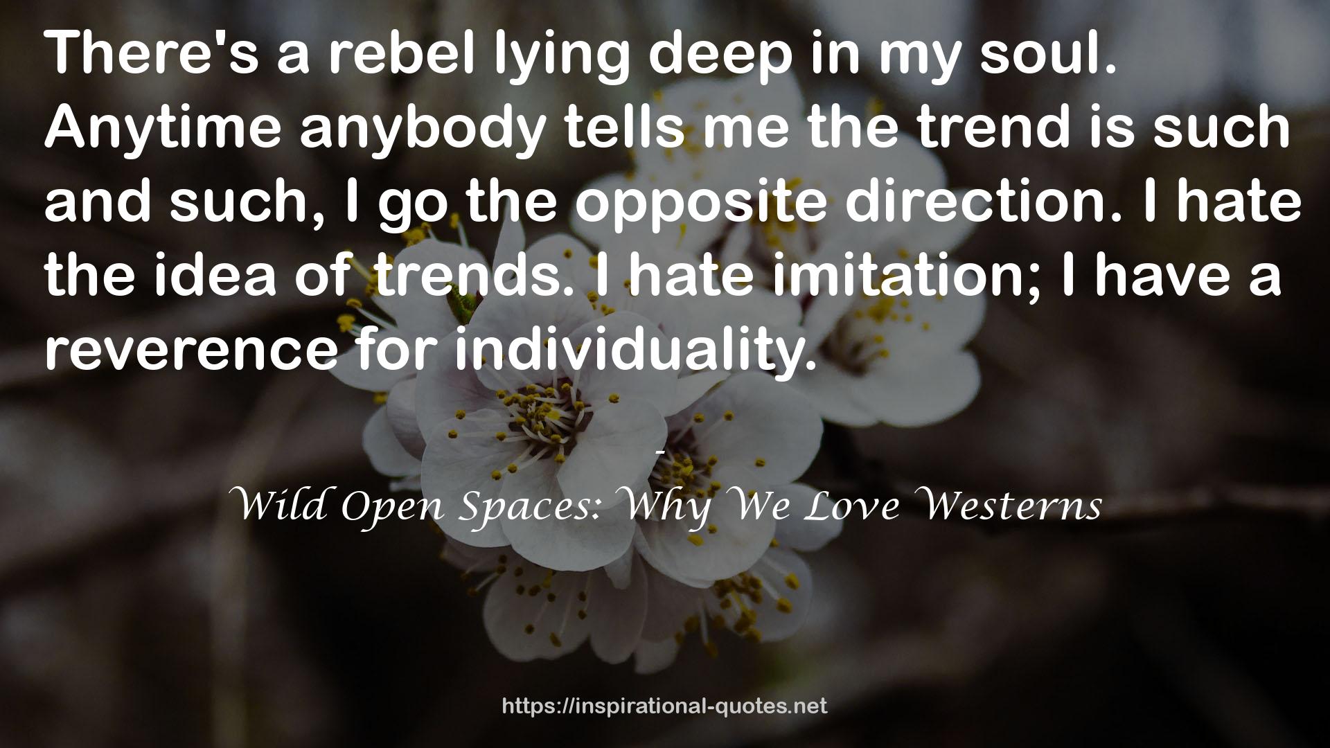 Wild Open Spaces: Why We Love Westerns QUOTES