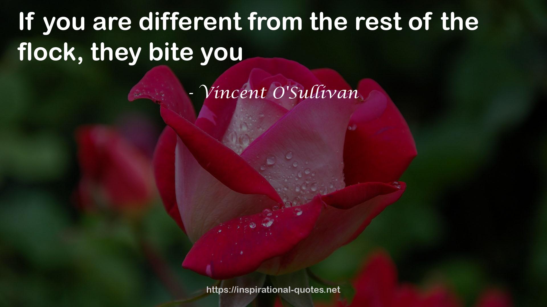 Vincent O'Sullivan QUOTES