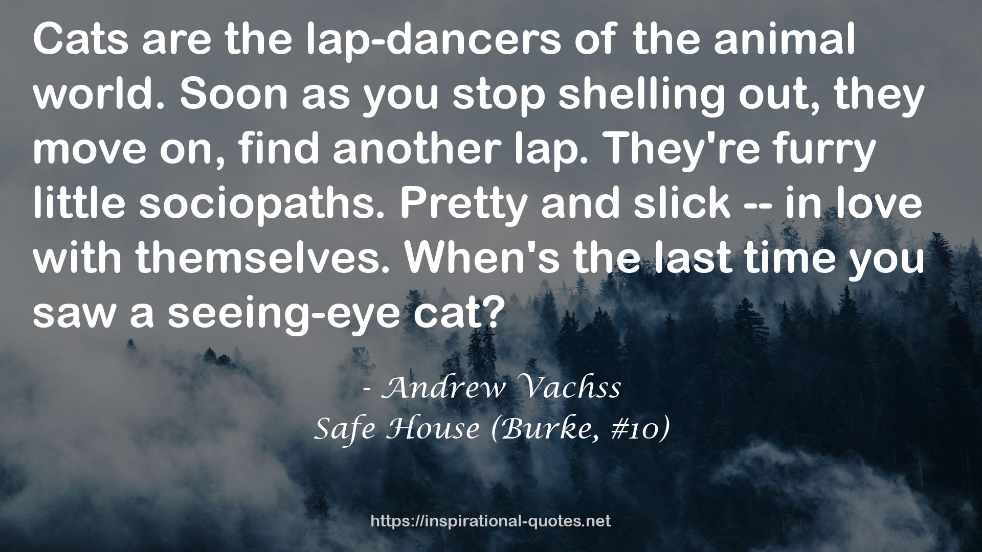 Safe House (Burke, #10) QUOTES