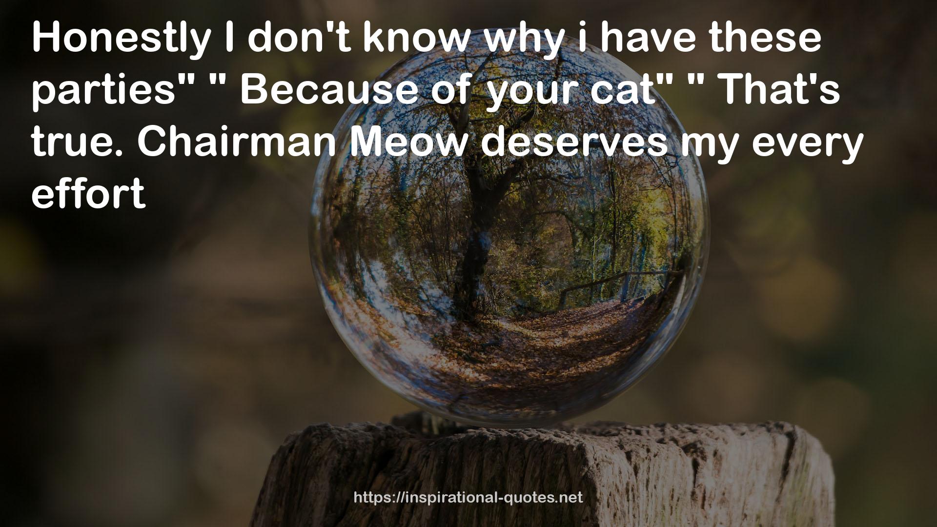 Chairman Meow  QUOTES