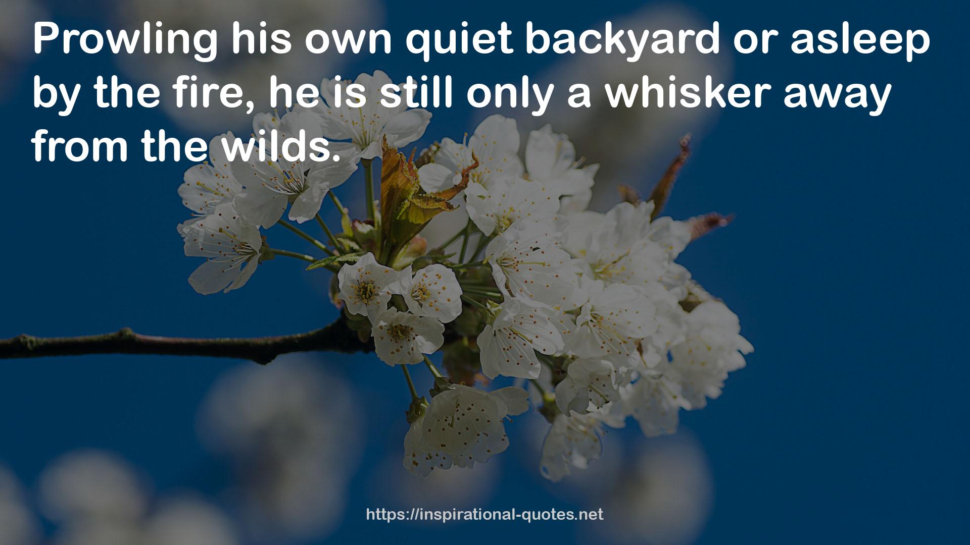 his own quiet backyard  QUOTES