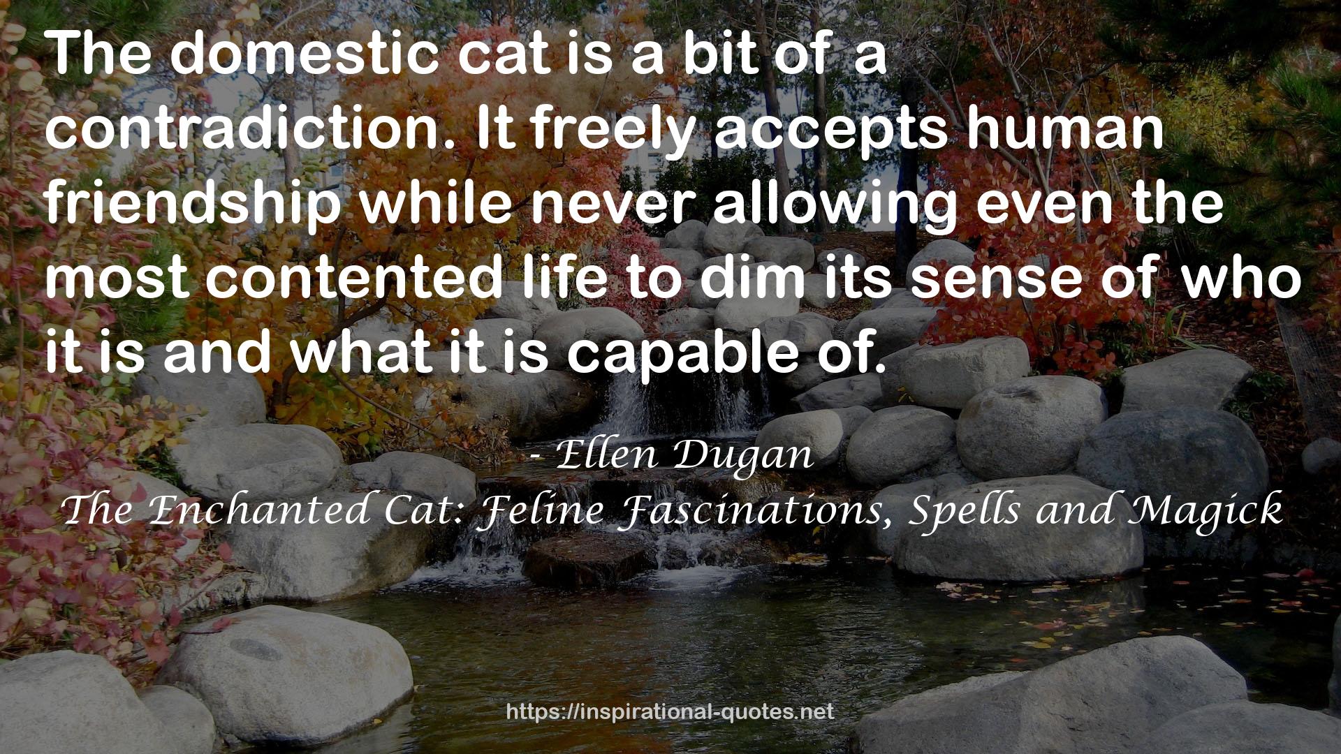 The Enchanted Cat: Feline Fascinations, Spells and Magick QUOTES