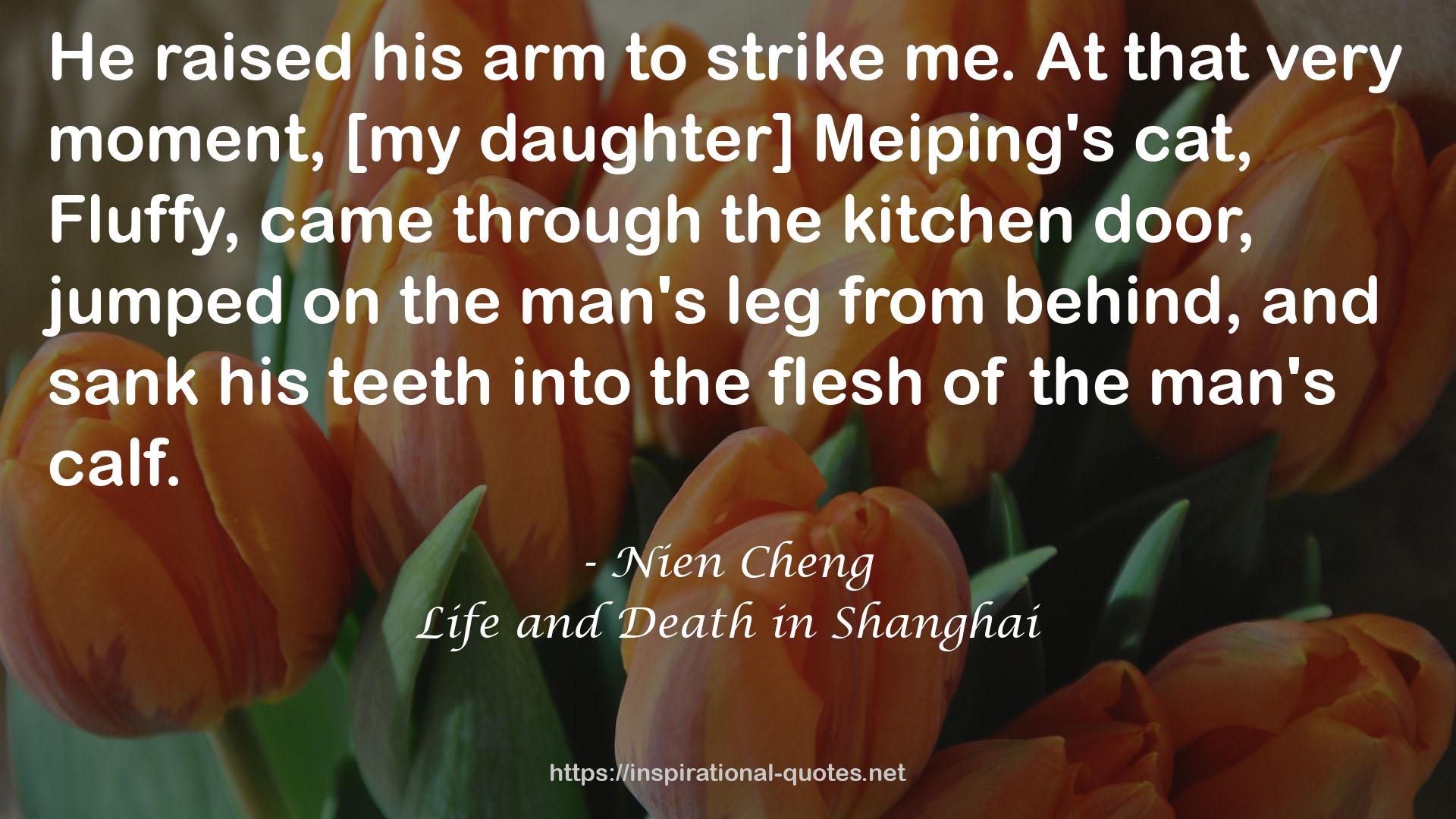 Life and Death in Shanghai QUOTES