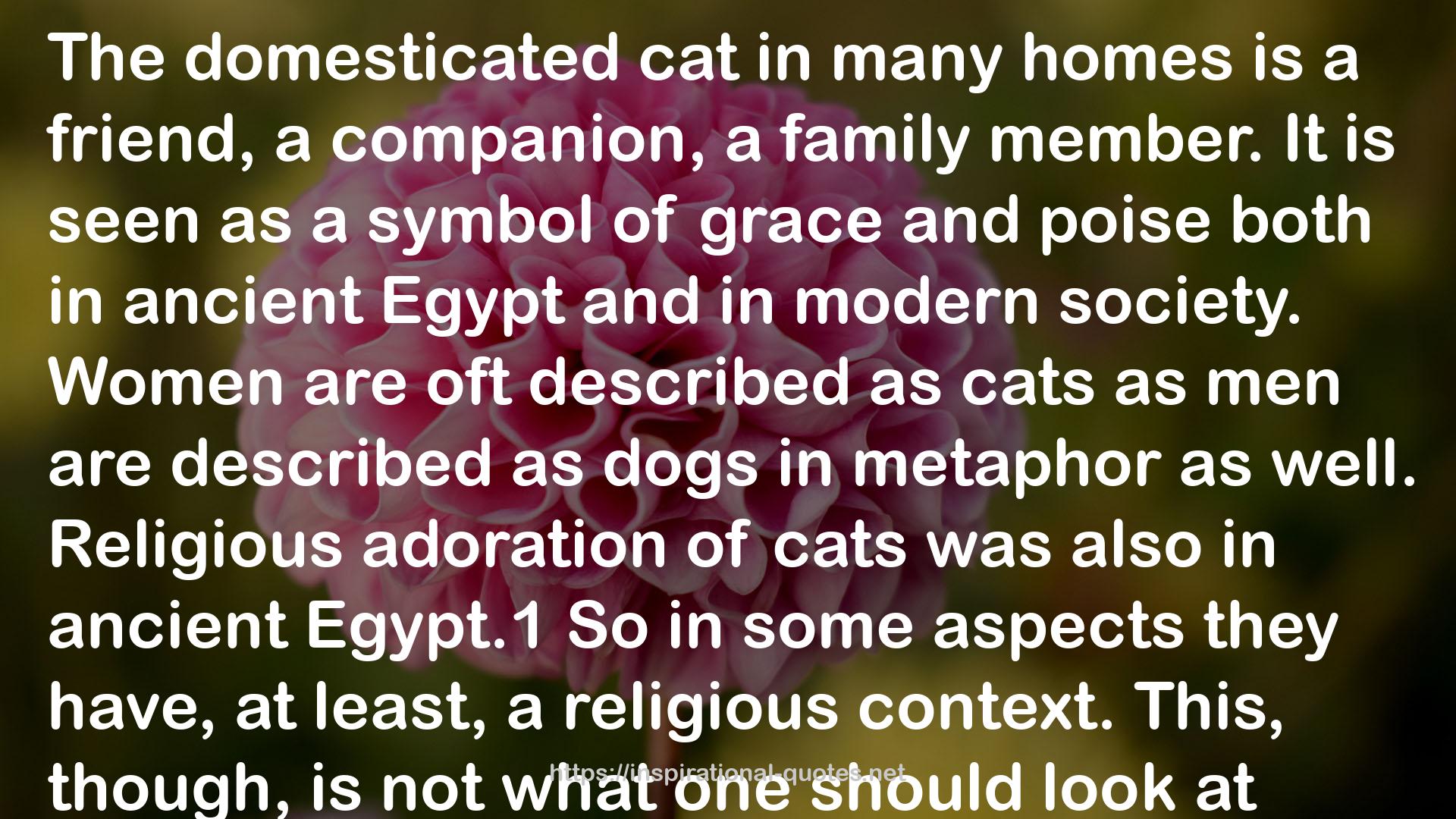 Egypt.1  QUOTES