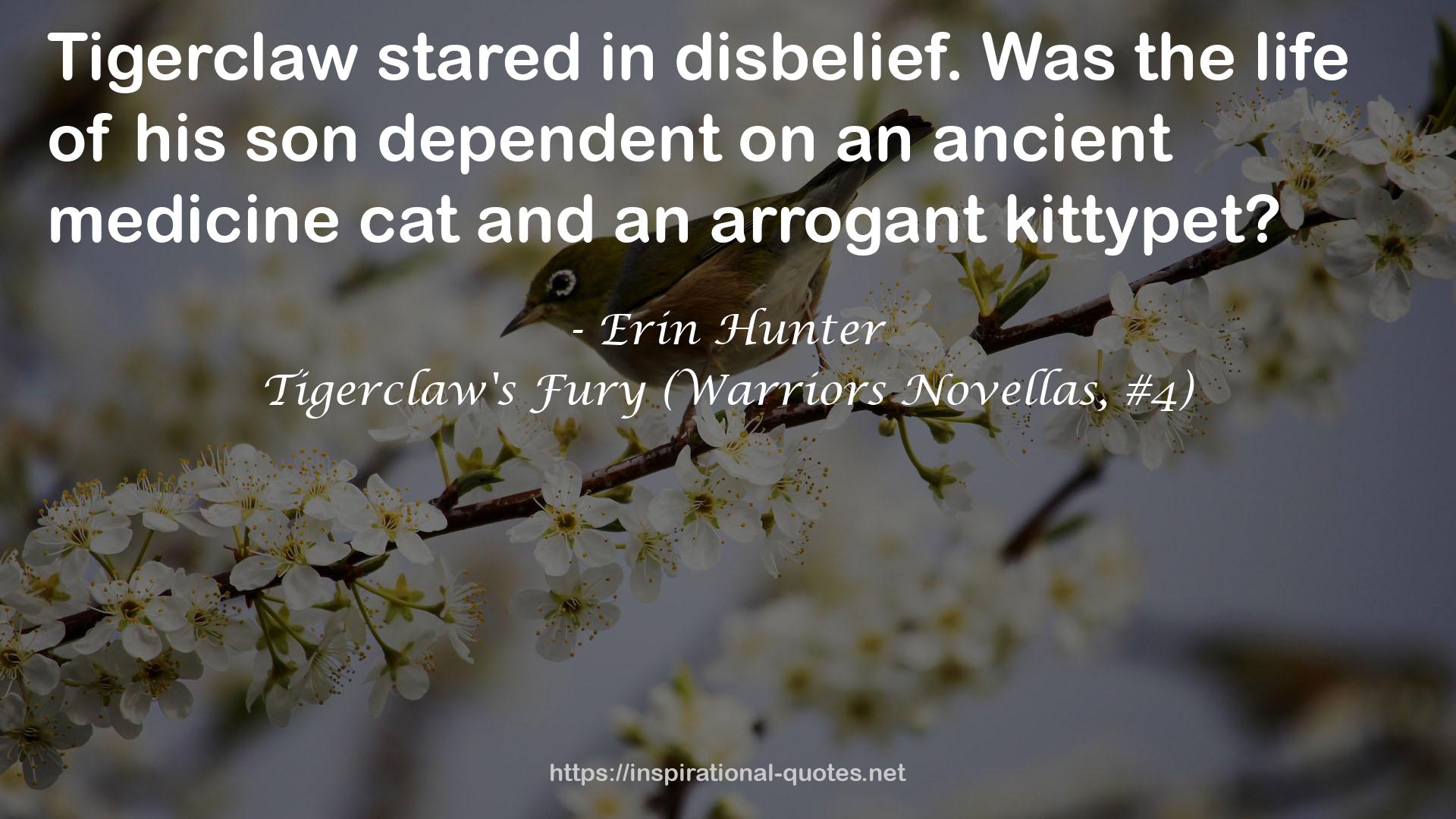 Tigerclaw's Fury (Warriors Novellas, #4) QUOTES