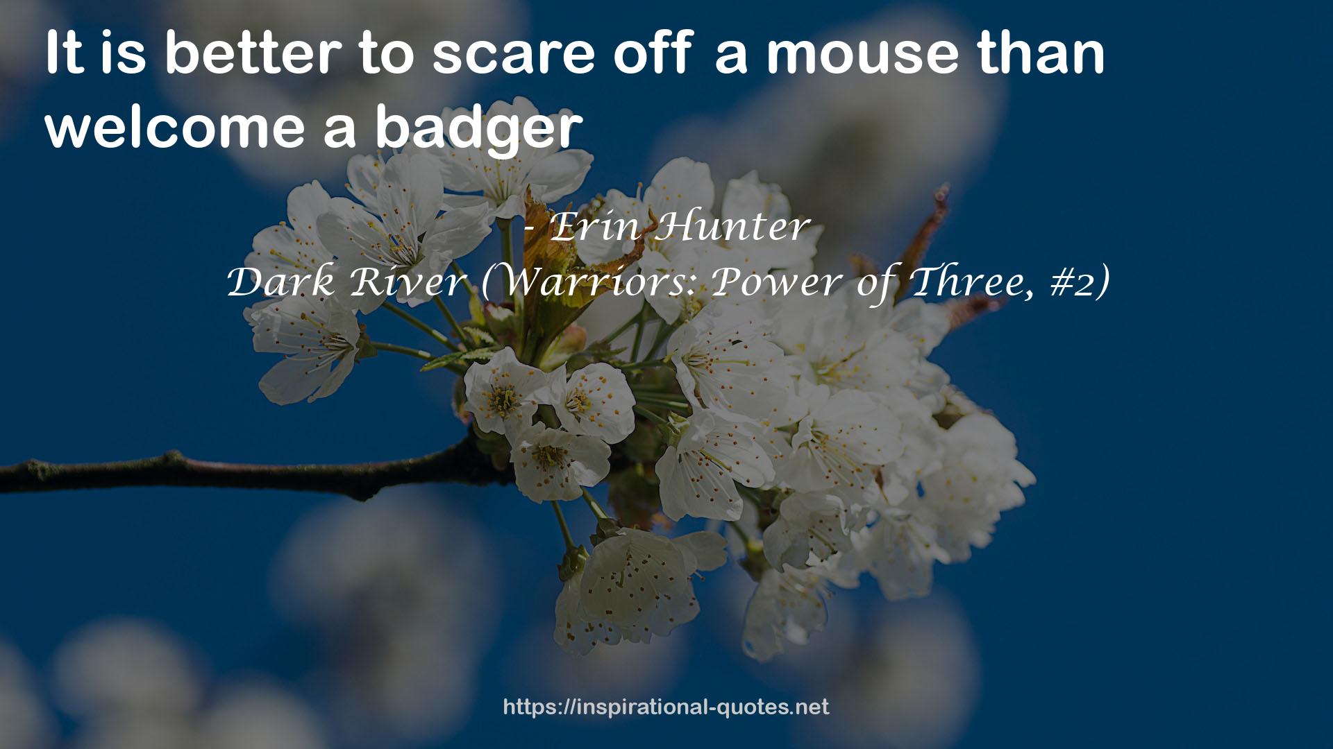 Dark River (Warriors: Power of Three, #2) QUOTES