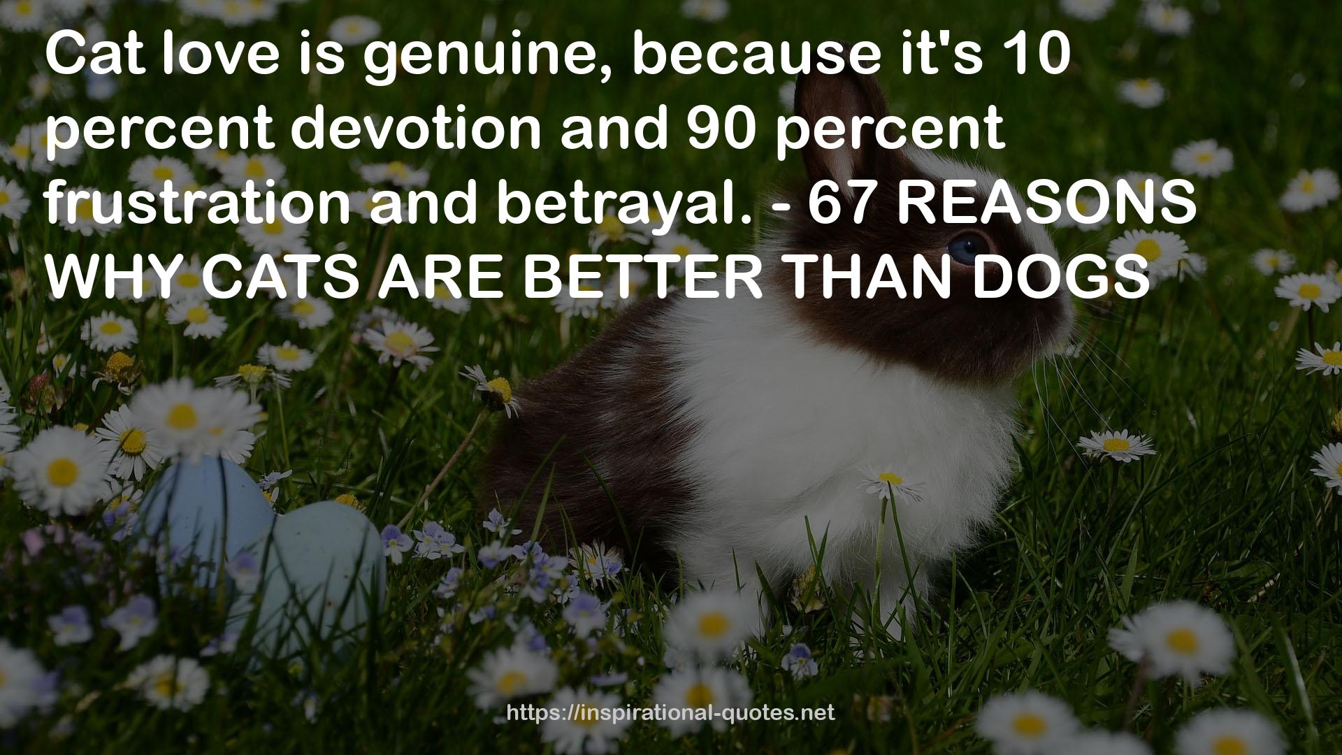 10 percent devotion  QUOTES