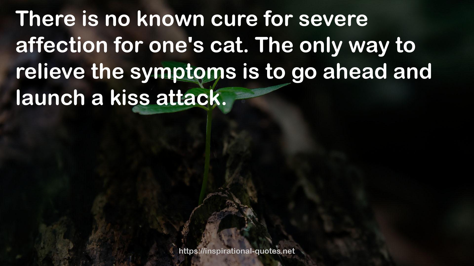 no known cure  QUOTES