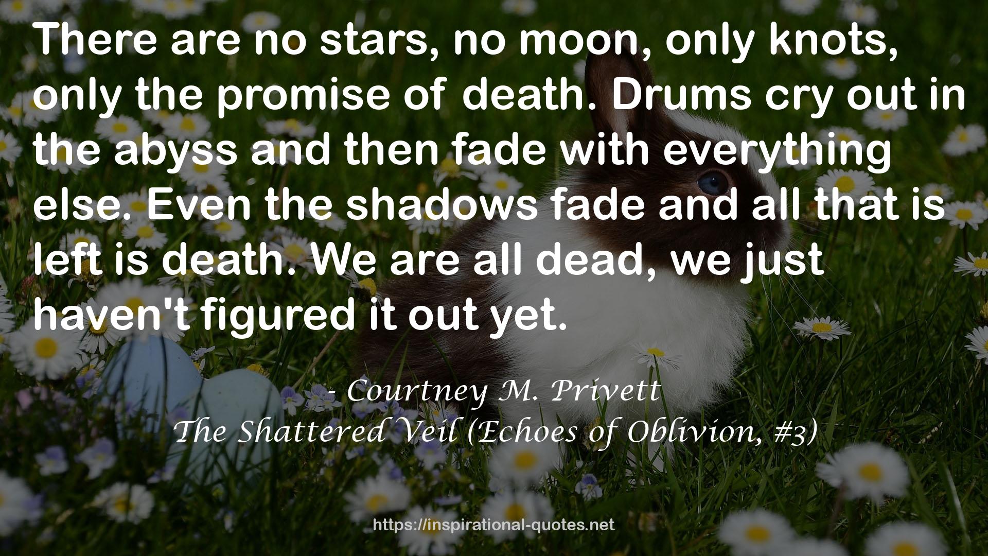 The Shattered Veil (Echoes of Oblivion, #3) QUOTES