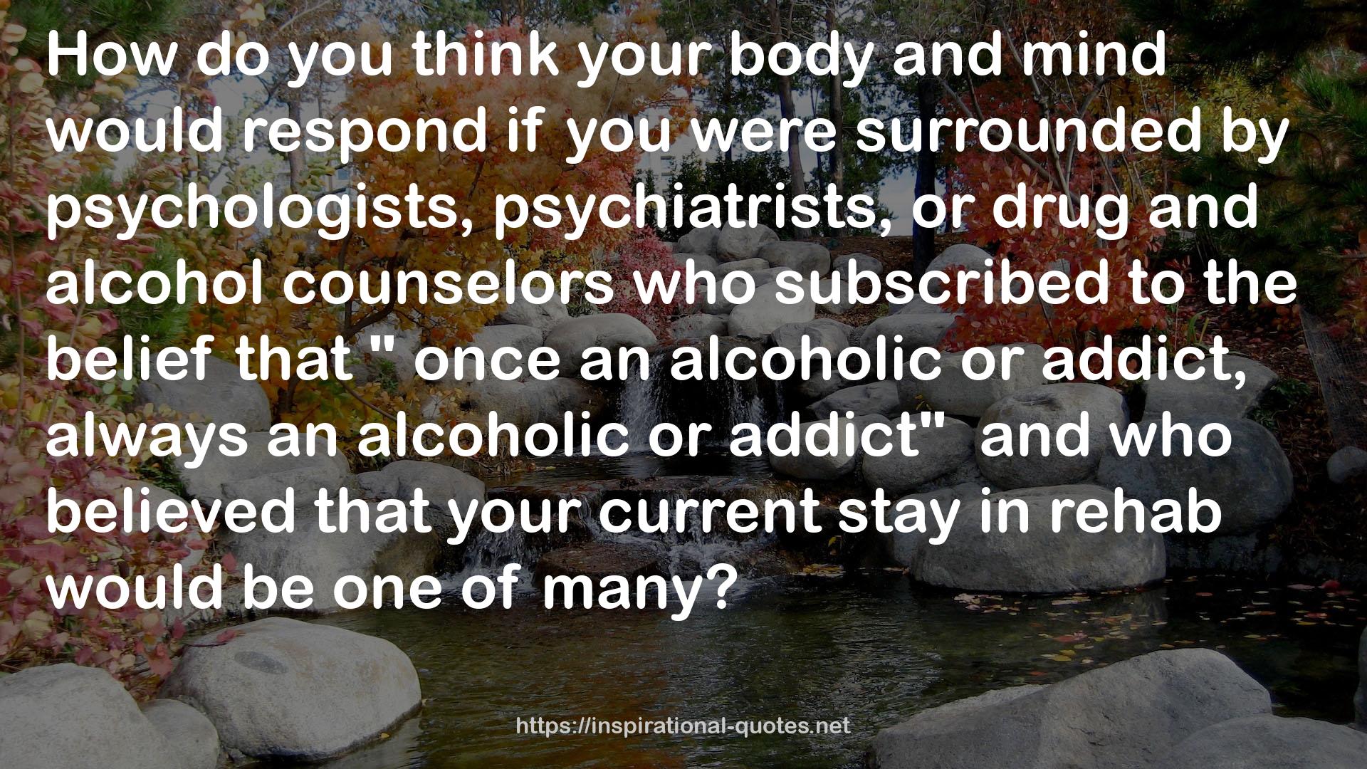drug and alcohol counselors  QUOTES