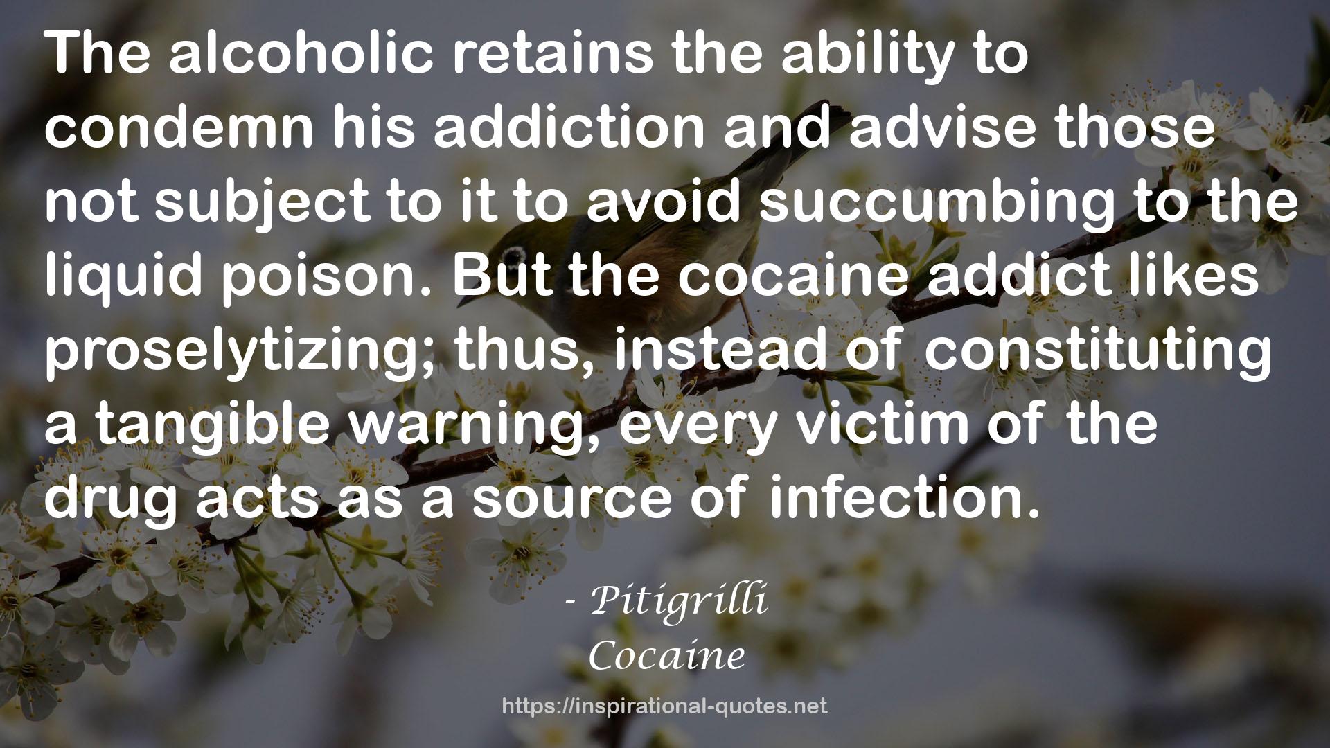 the cocaine addict  QUOTES