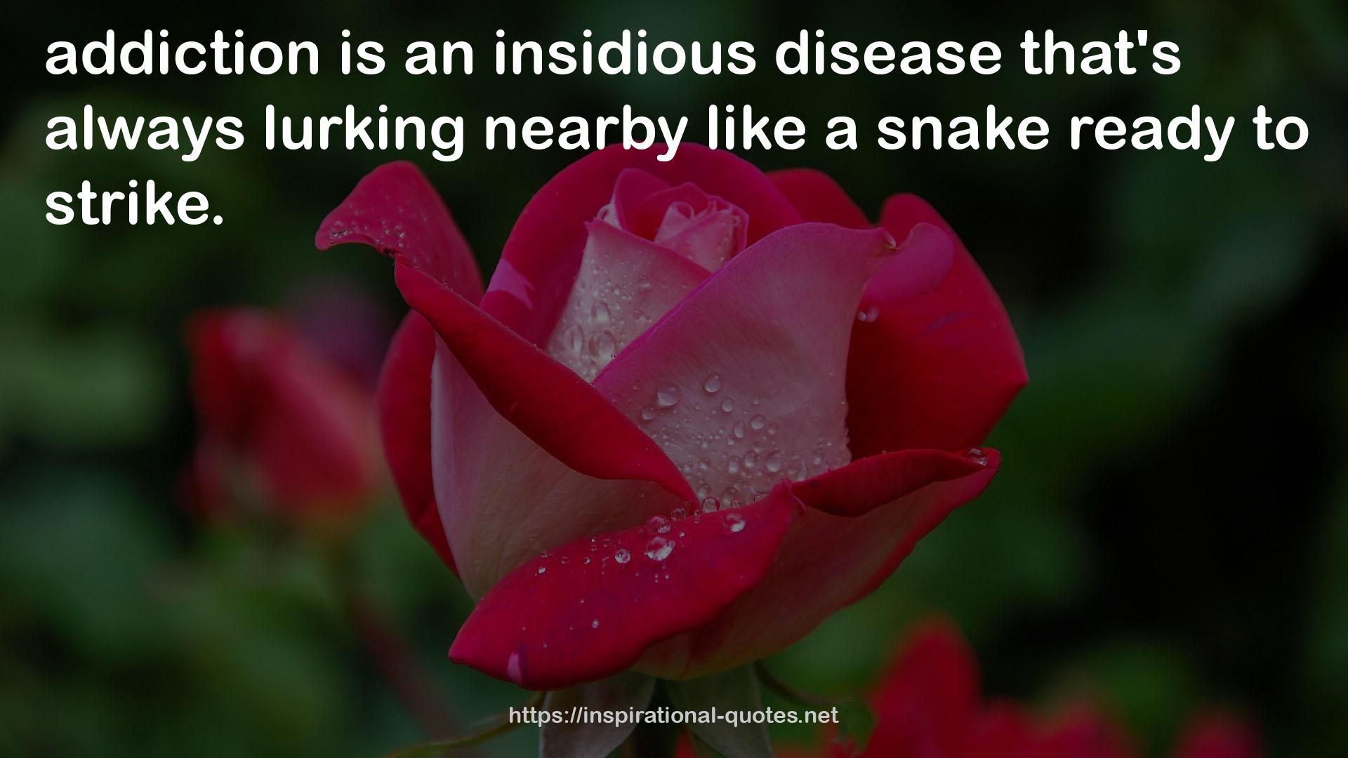 an insidious disease  QUOTES