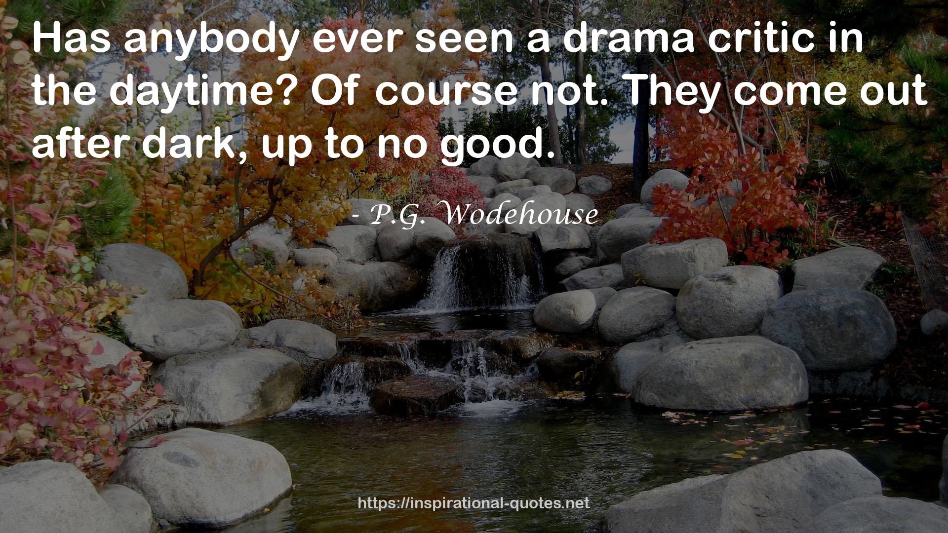 a drama critic  QUOTES