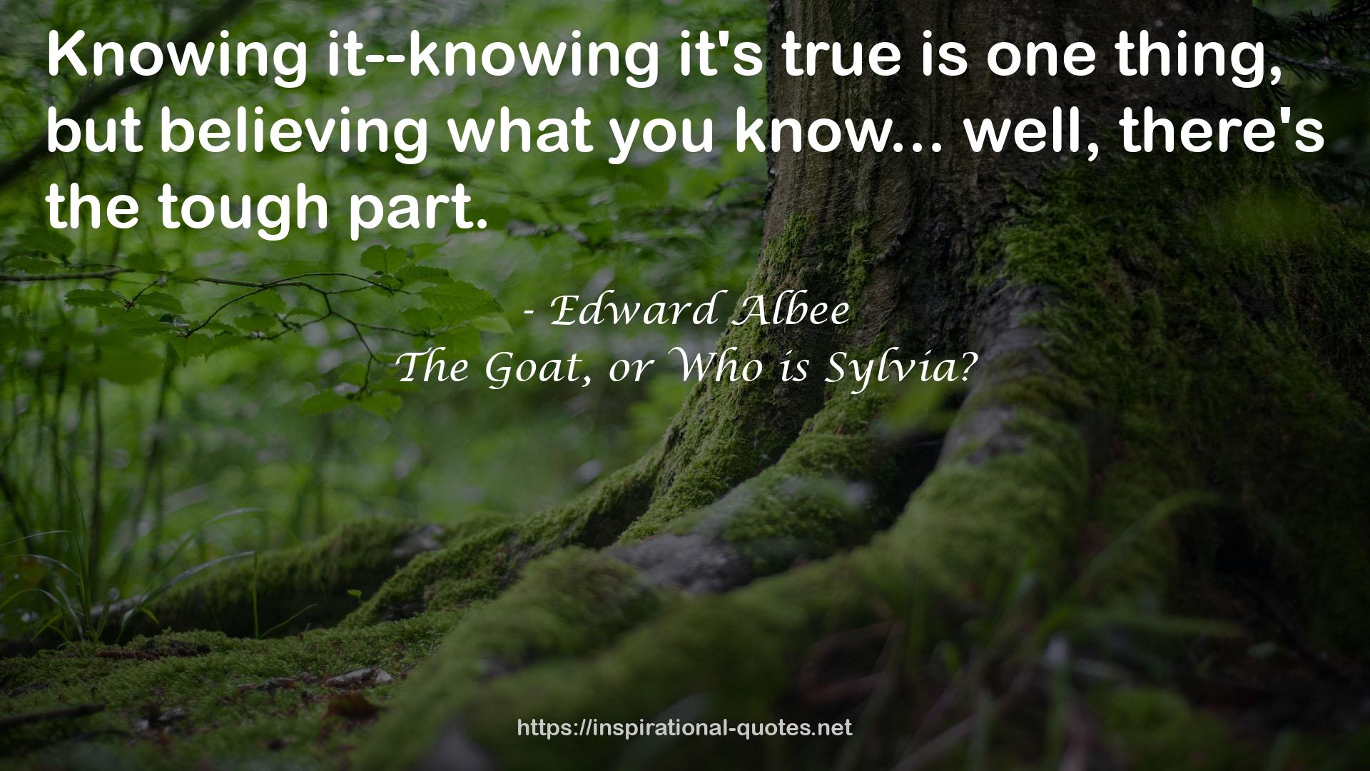 The Goat, or Who is Sylvia? QUOTES
