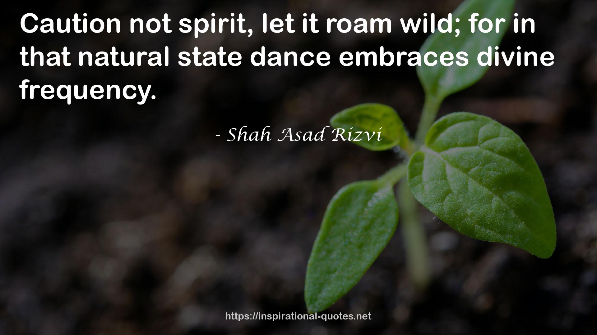 that natural state dance  QUOTES