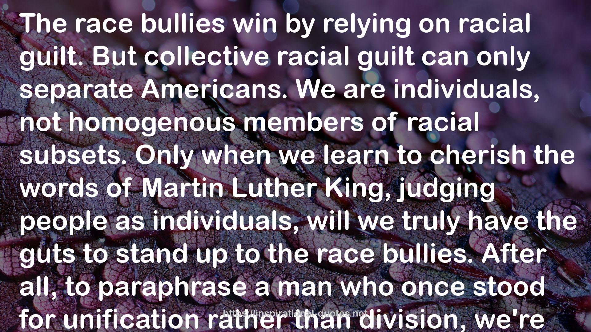The race bullies  QUOTES