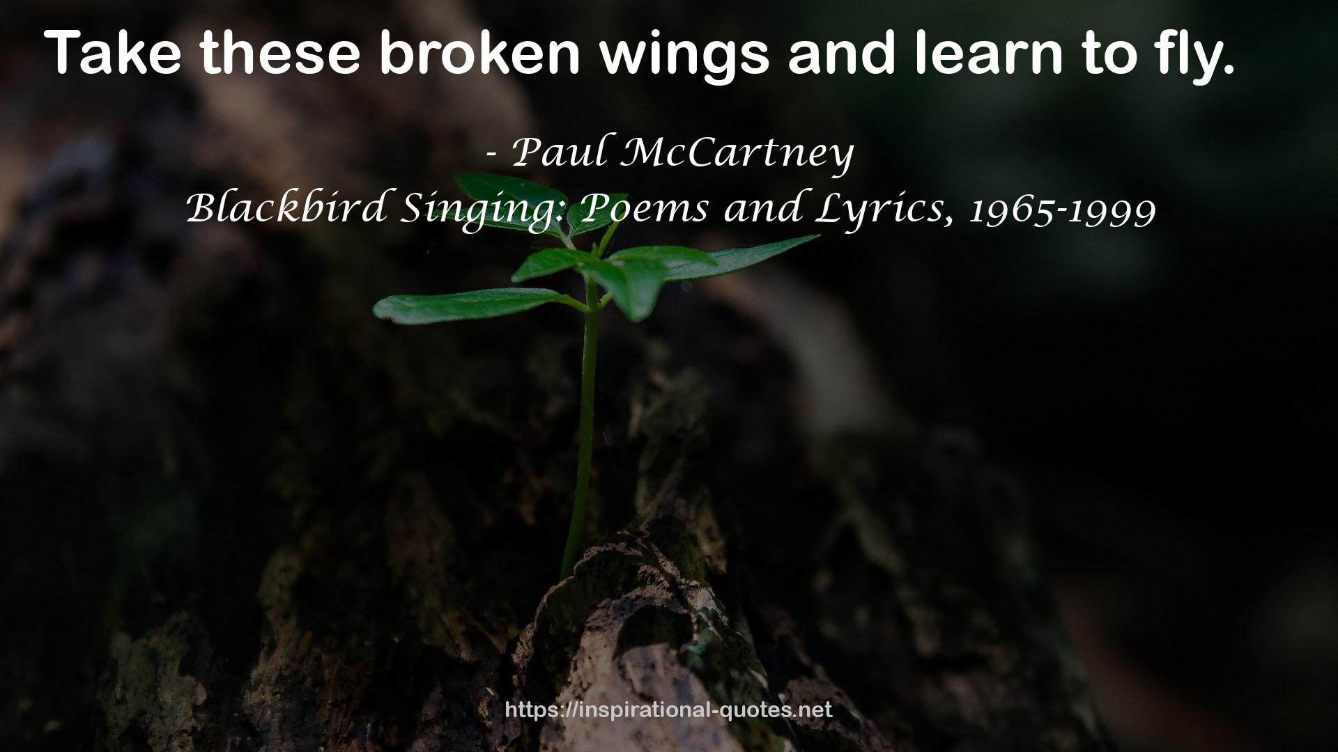 Blackbird Singing: Poems and Lyrics, 1965-1999 QUOTES
