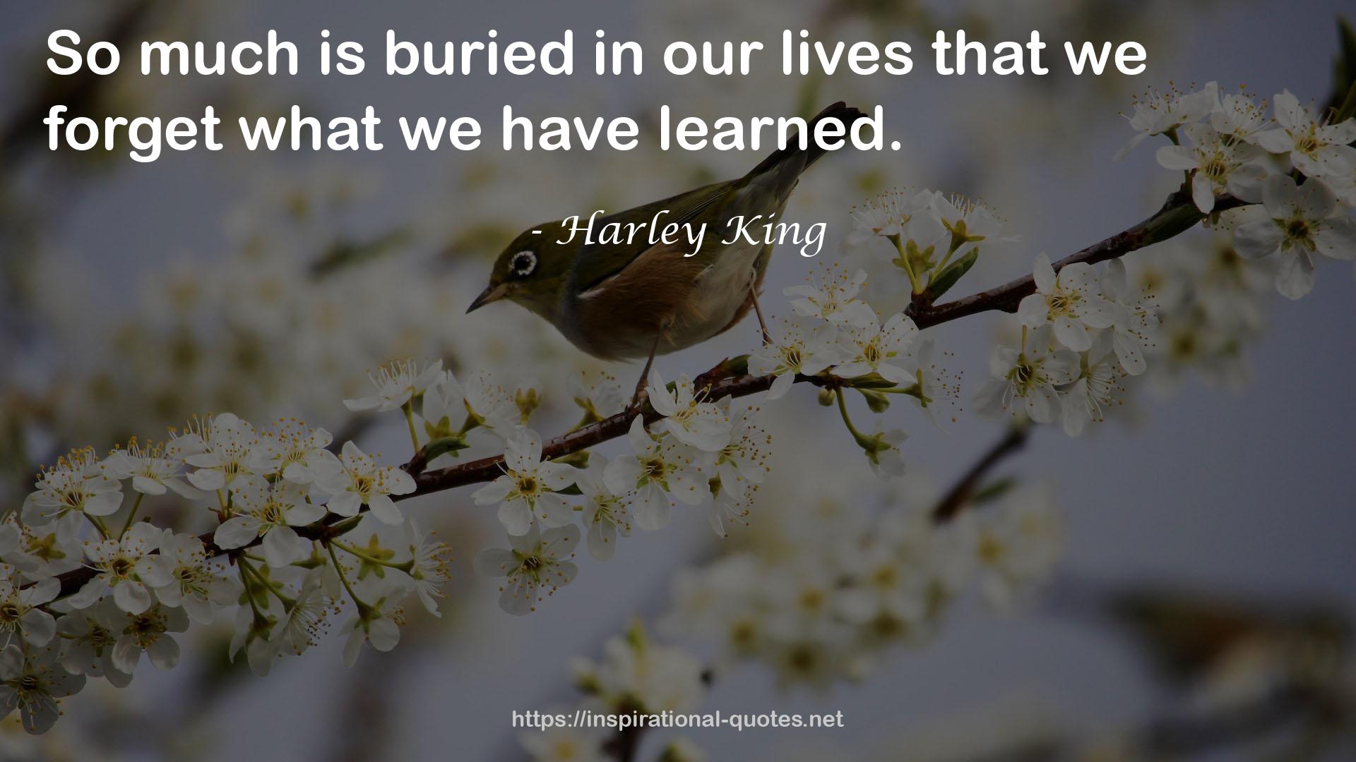 Harley King QUOTES