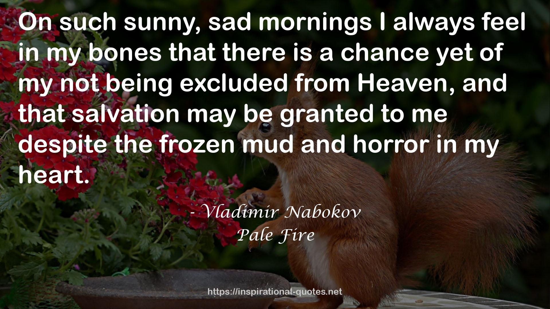 such sunny, sad mornings  QUOTES