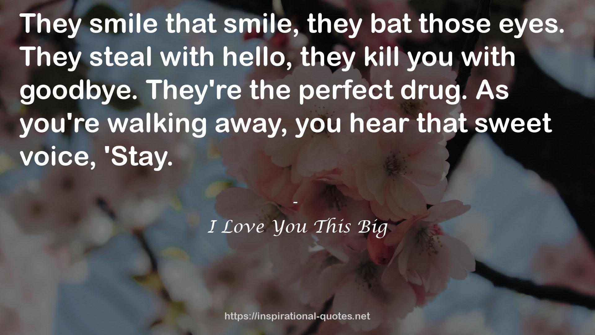 I Love You This Big QUOTES