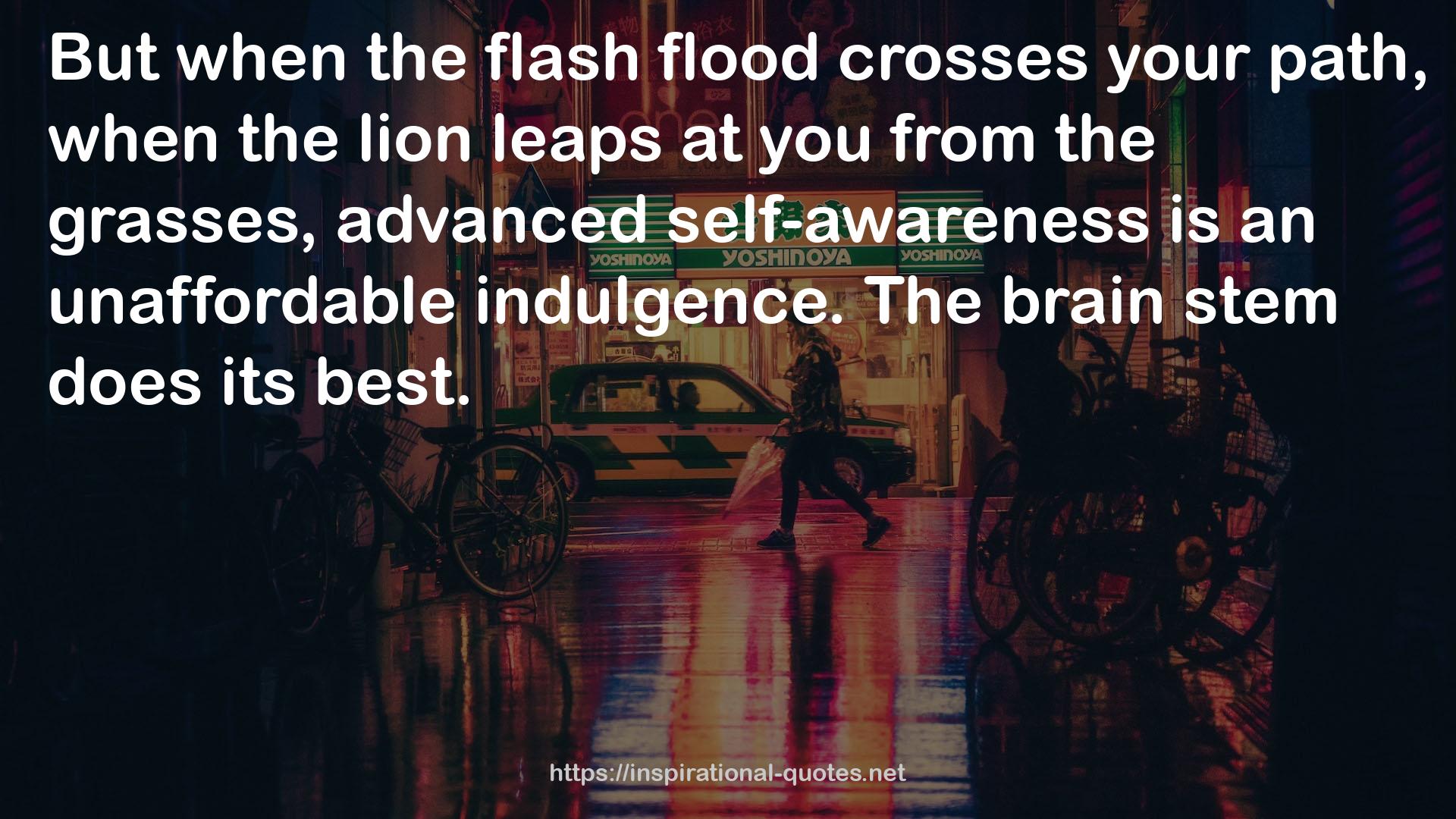 the flash flood  QUOTES