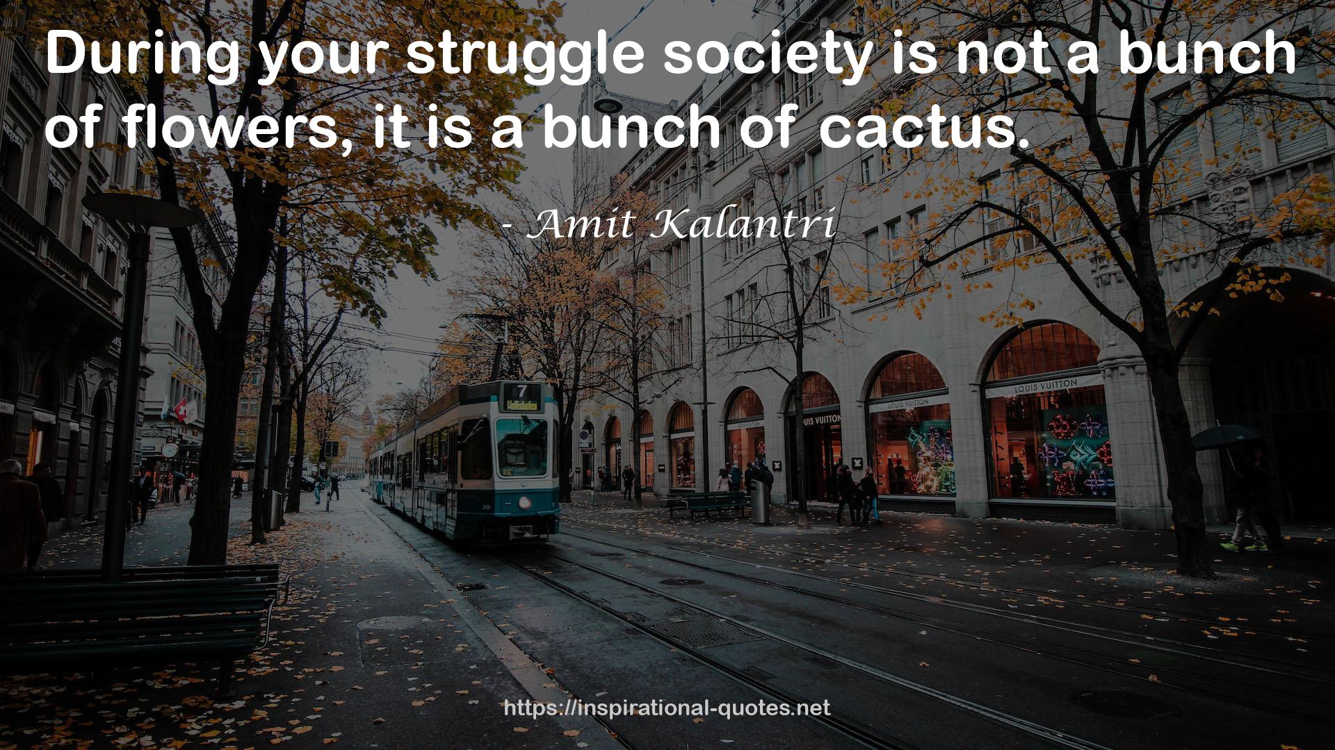 your struggle society  QUOTES