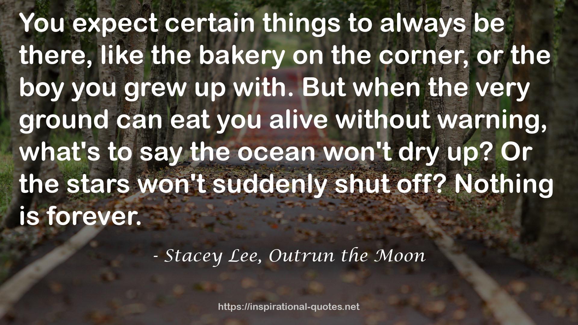 Stacey Lee, Outrun the Moon QUOTES