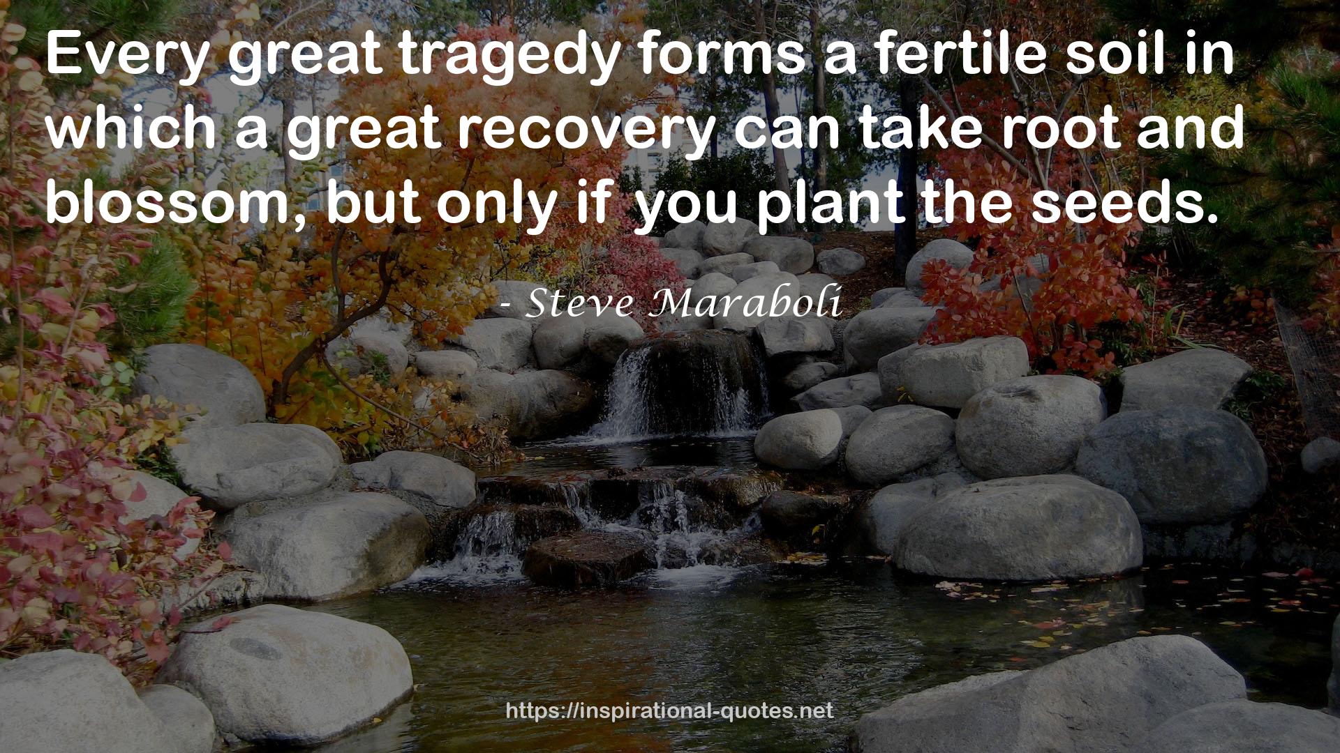 a great recovery  QUOTES