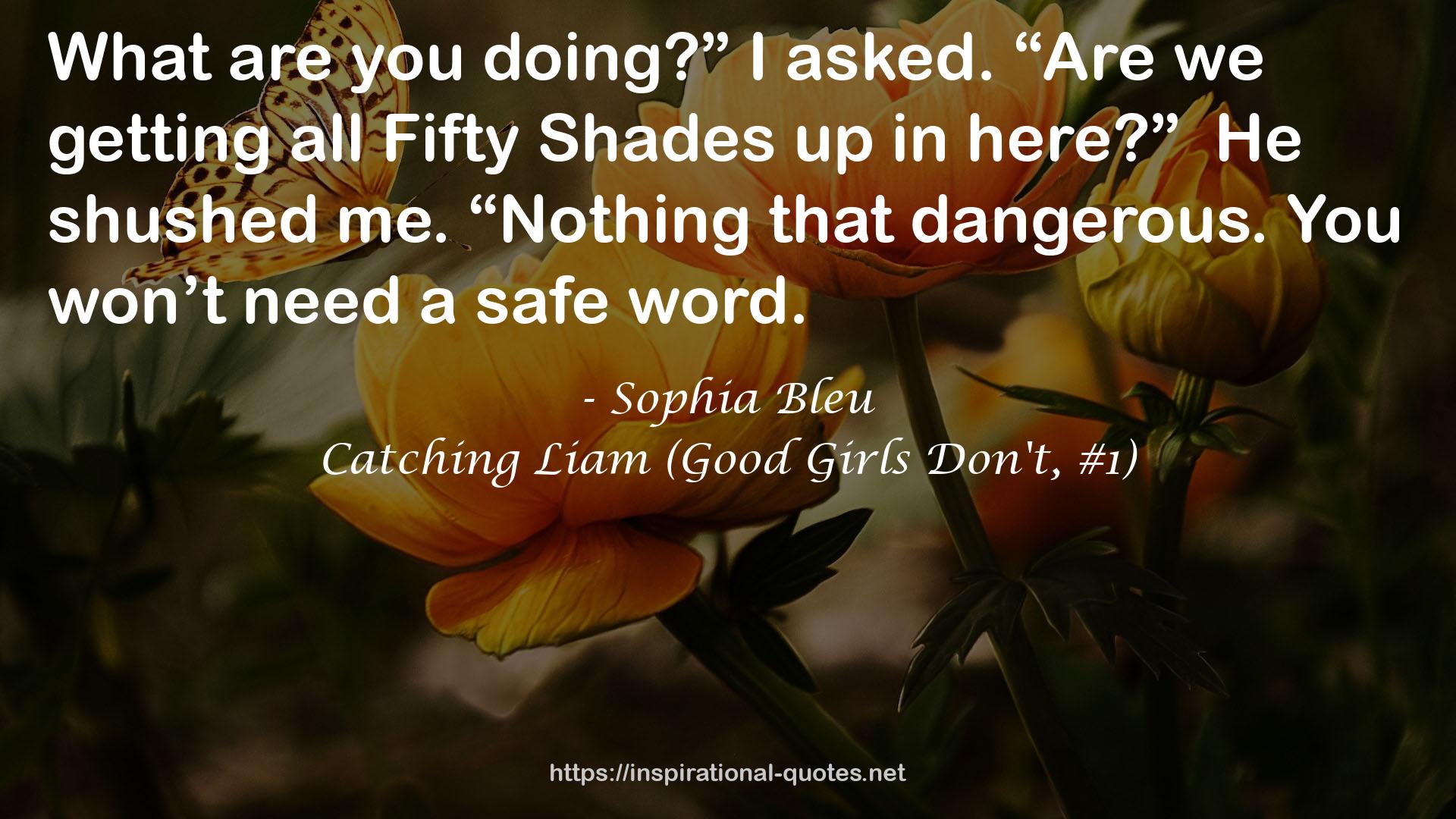 Catching Liam (Good Girls Don't, #1) QUOTES